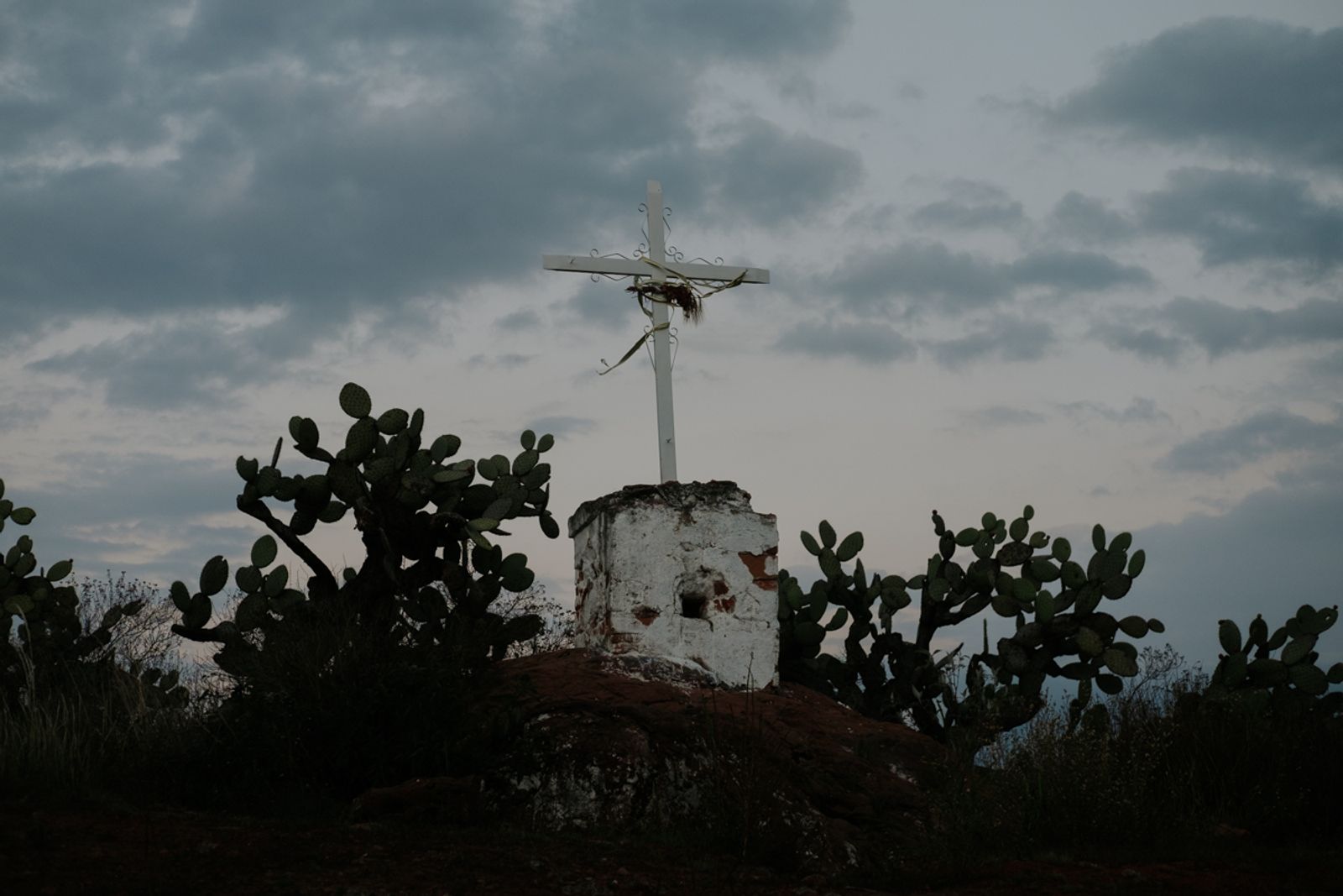 © Frédérique Gélinas - Image from the The Time of Agave photography project