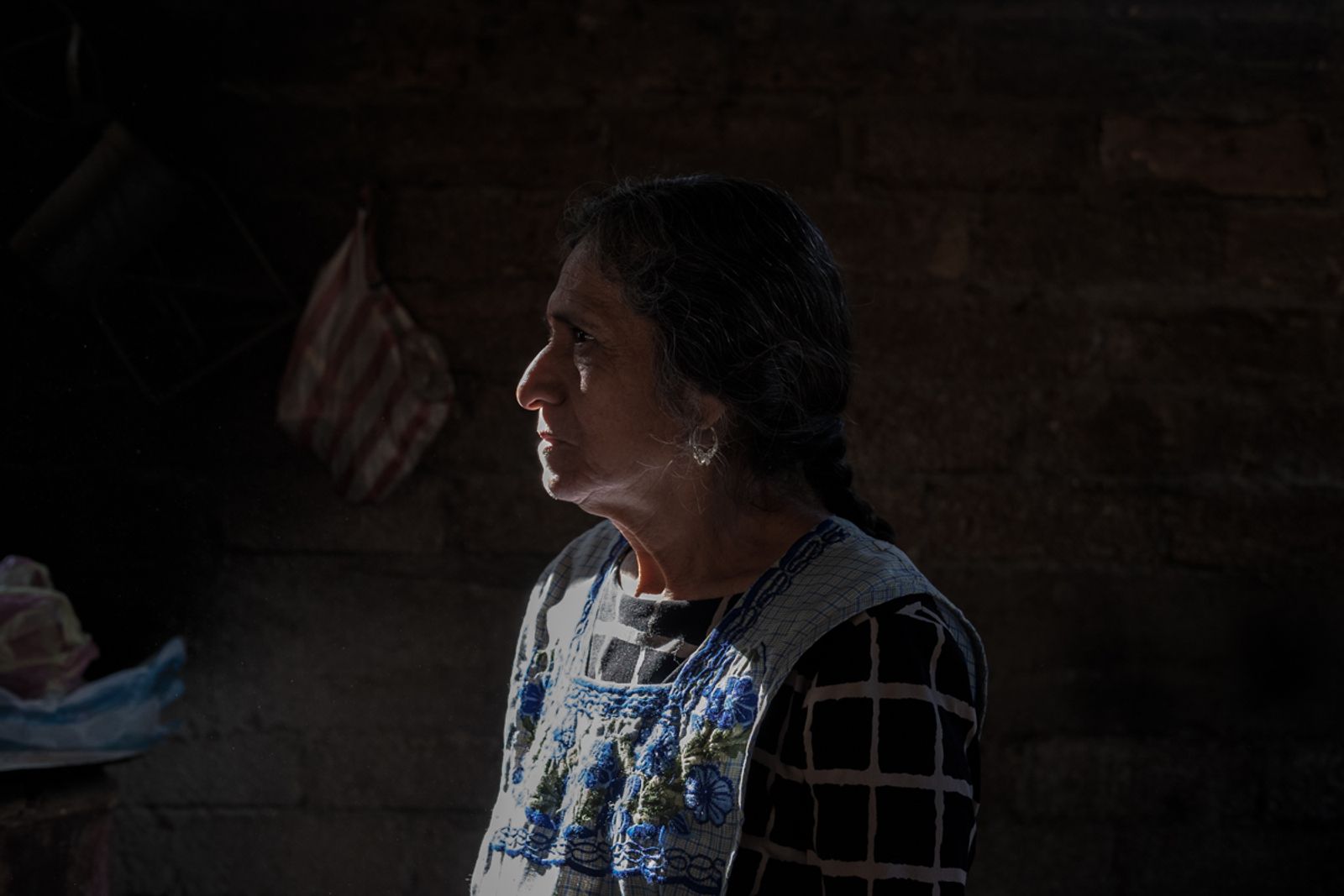 © Frédérique Gélinas - Image from the The Time of Agave photography project