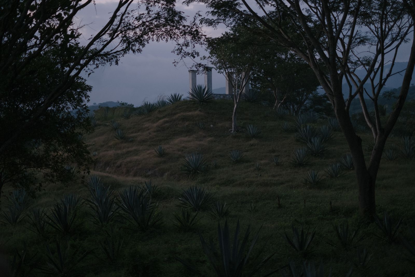 © Frédérique Gélinas - Image from the Under Mezcal Influence photography project