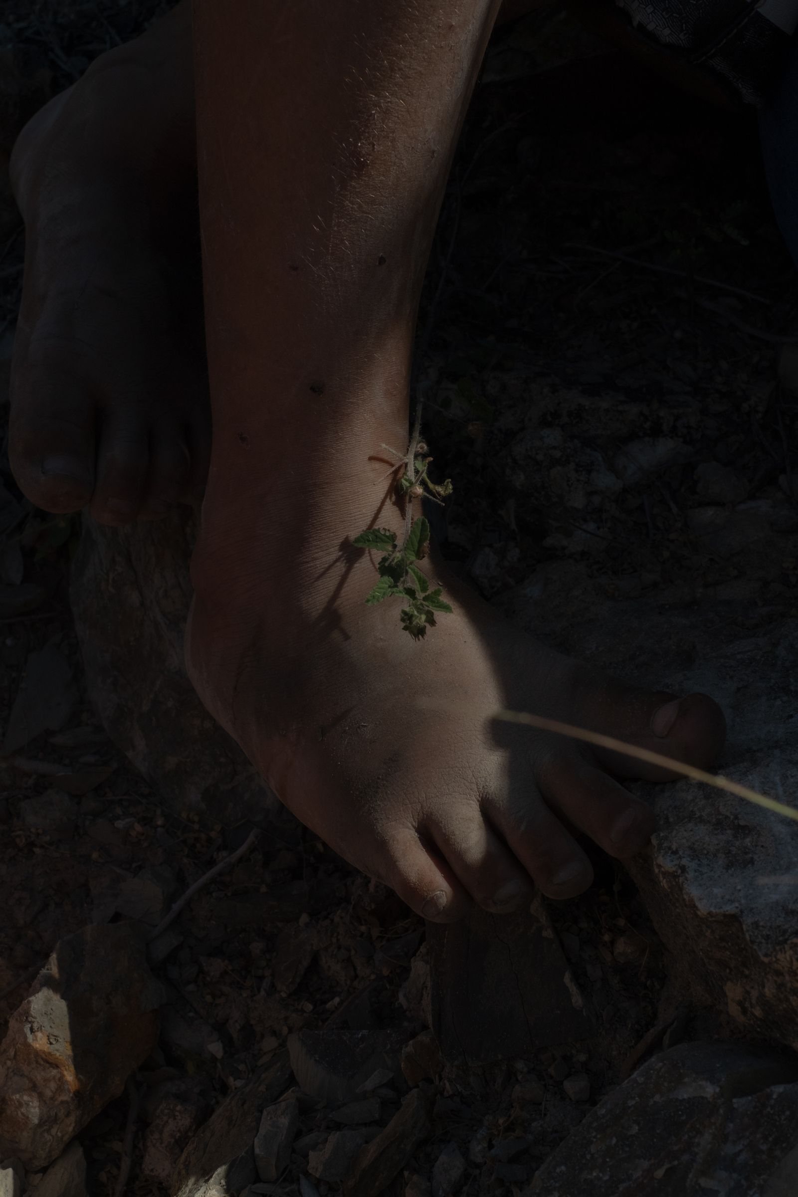 © Frédérique Gélinas - Image from the Under Mezcal Influence photography project