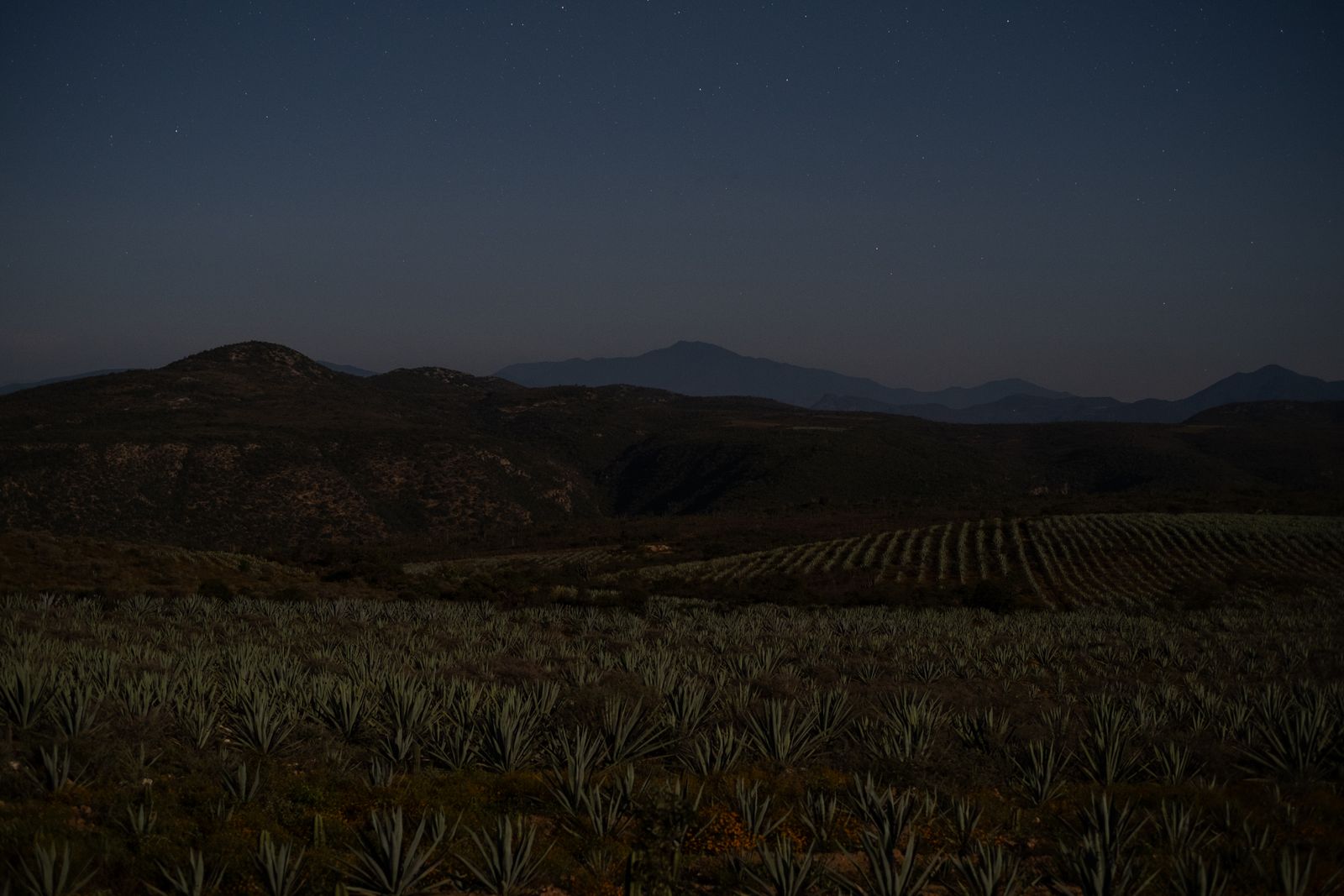 © Frédérique Gélinas - Image from the Under Mezcal Influence photography project