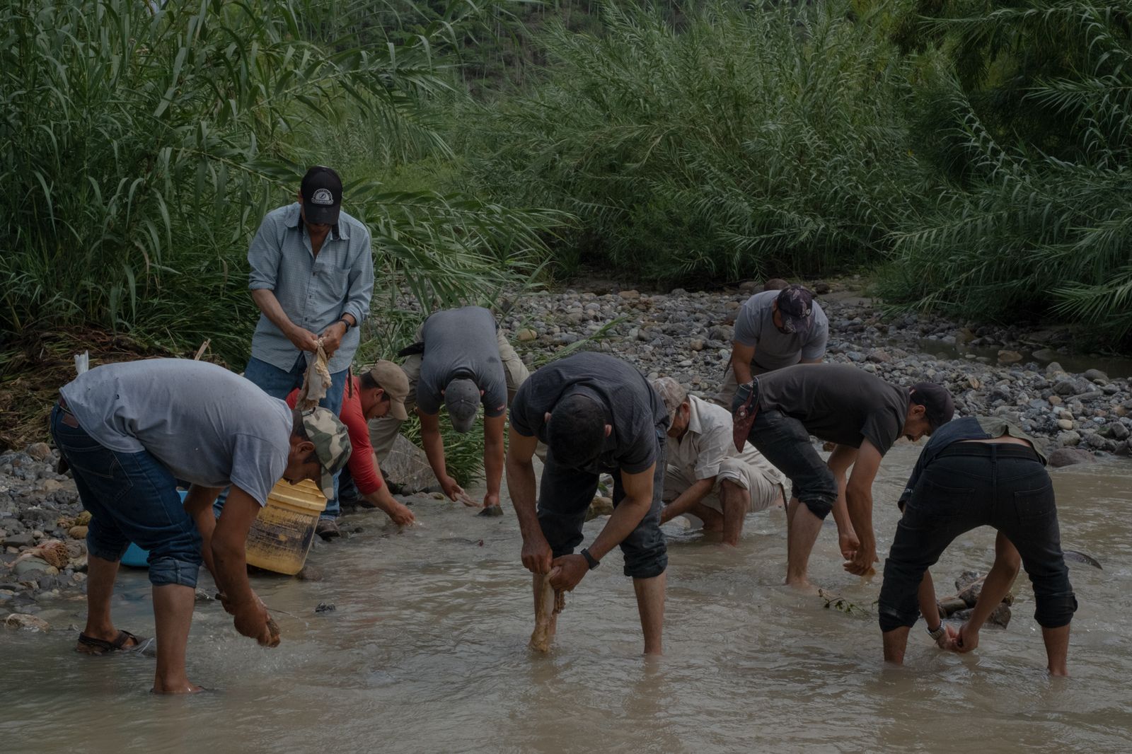 © Frédérique Gélinas - Men washing meat at the river for the wedding day.