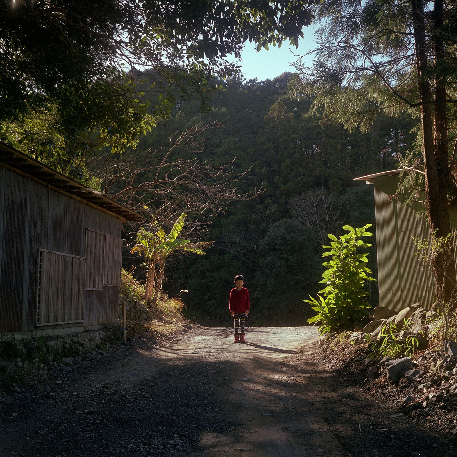 © Takako Kido - Alone In Countryside