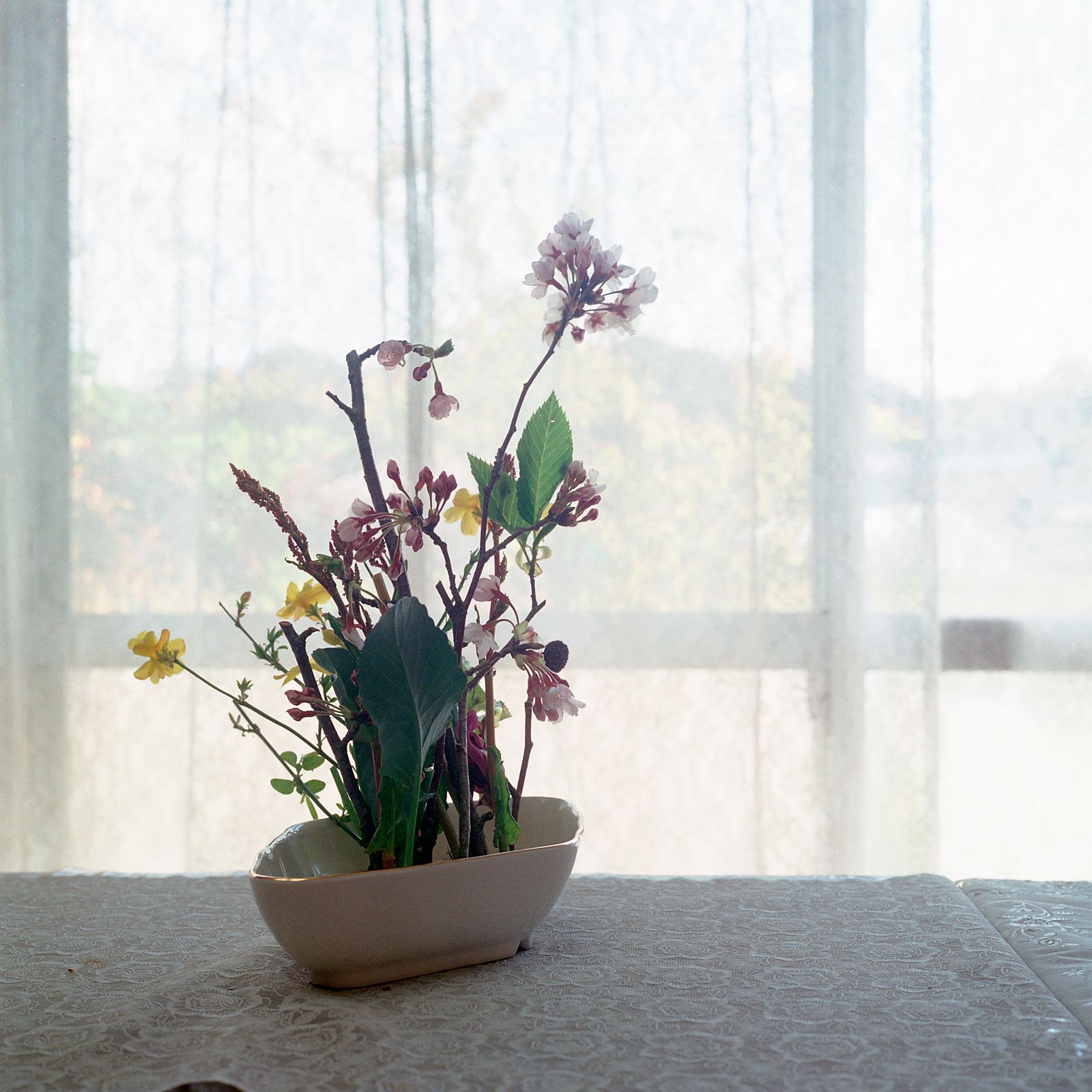 © Takako Kido - Ikebana (Japanese Traditional Flower Arrangement)