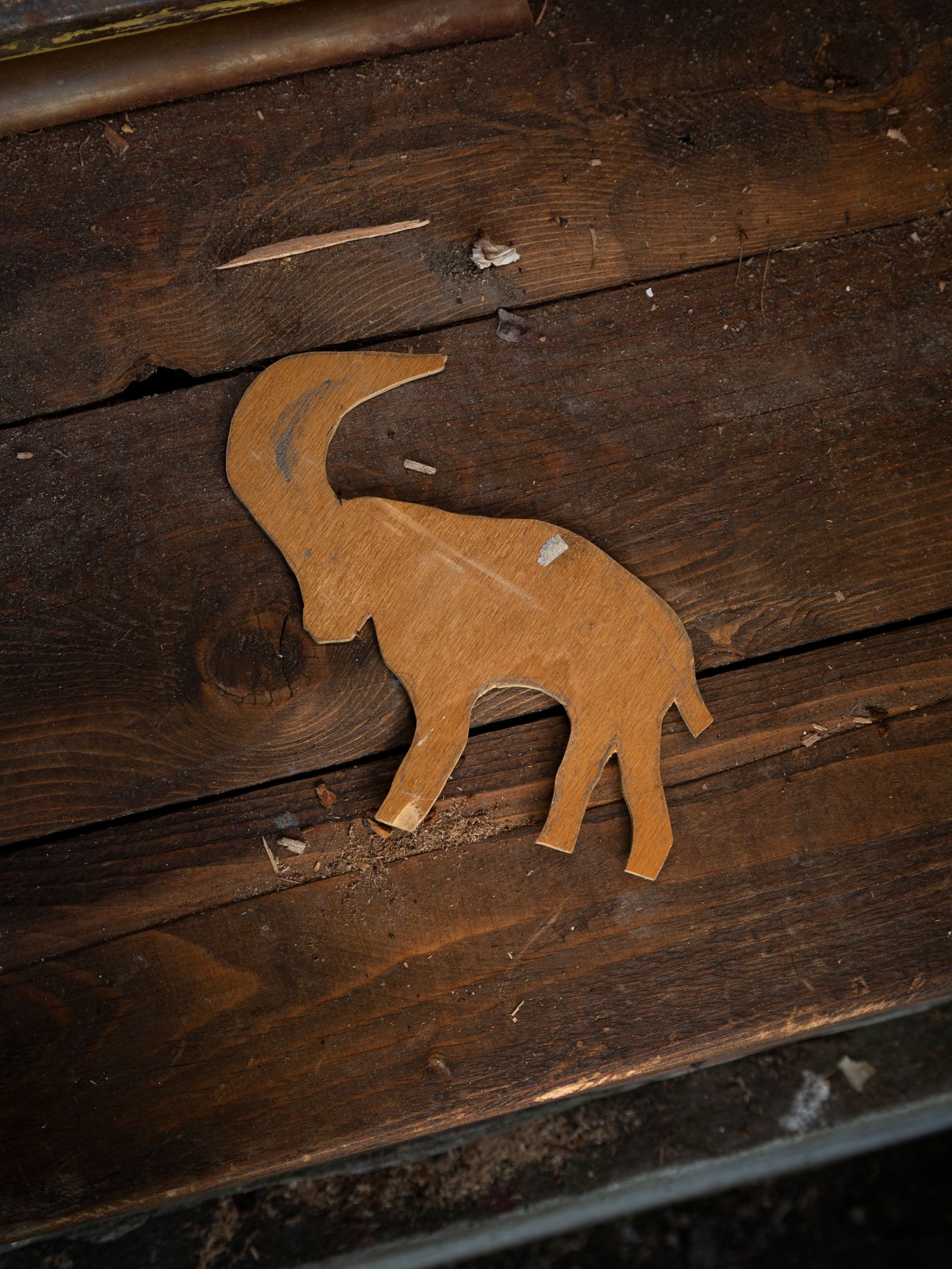© Greta Valente - Image from the It takes all kinds photography project
