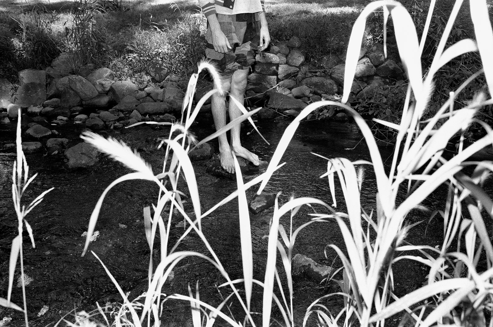 © Ian Ritter - Philip's Creek, August