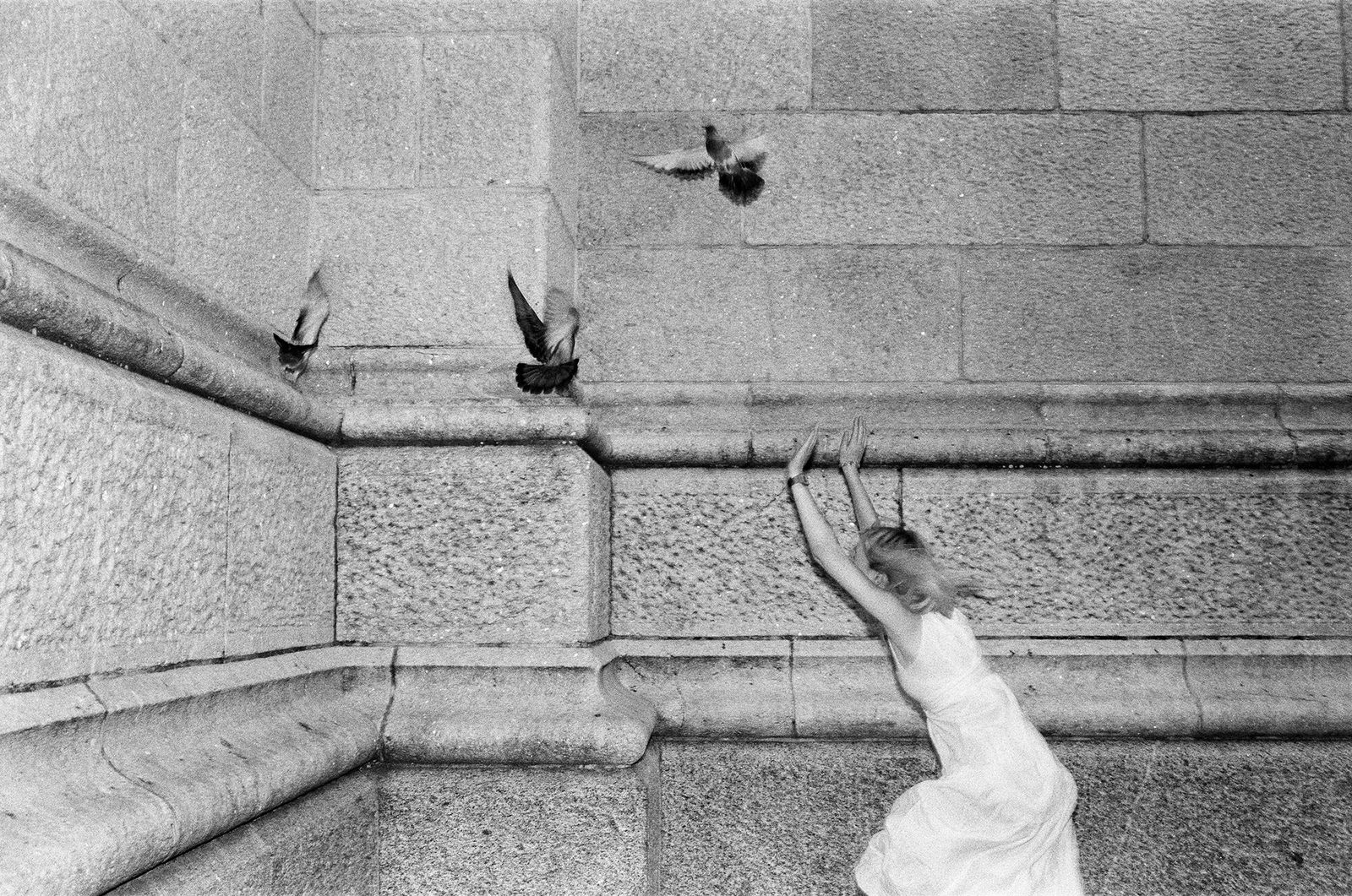 © Ian Ritter - Layla Chasing Birds, August