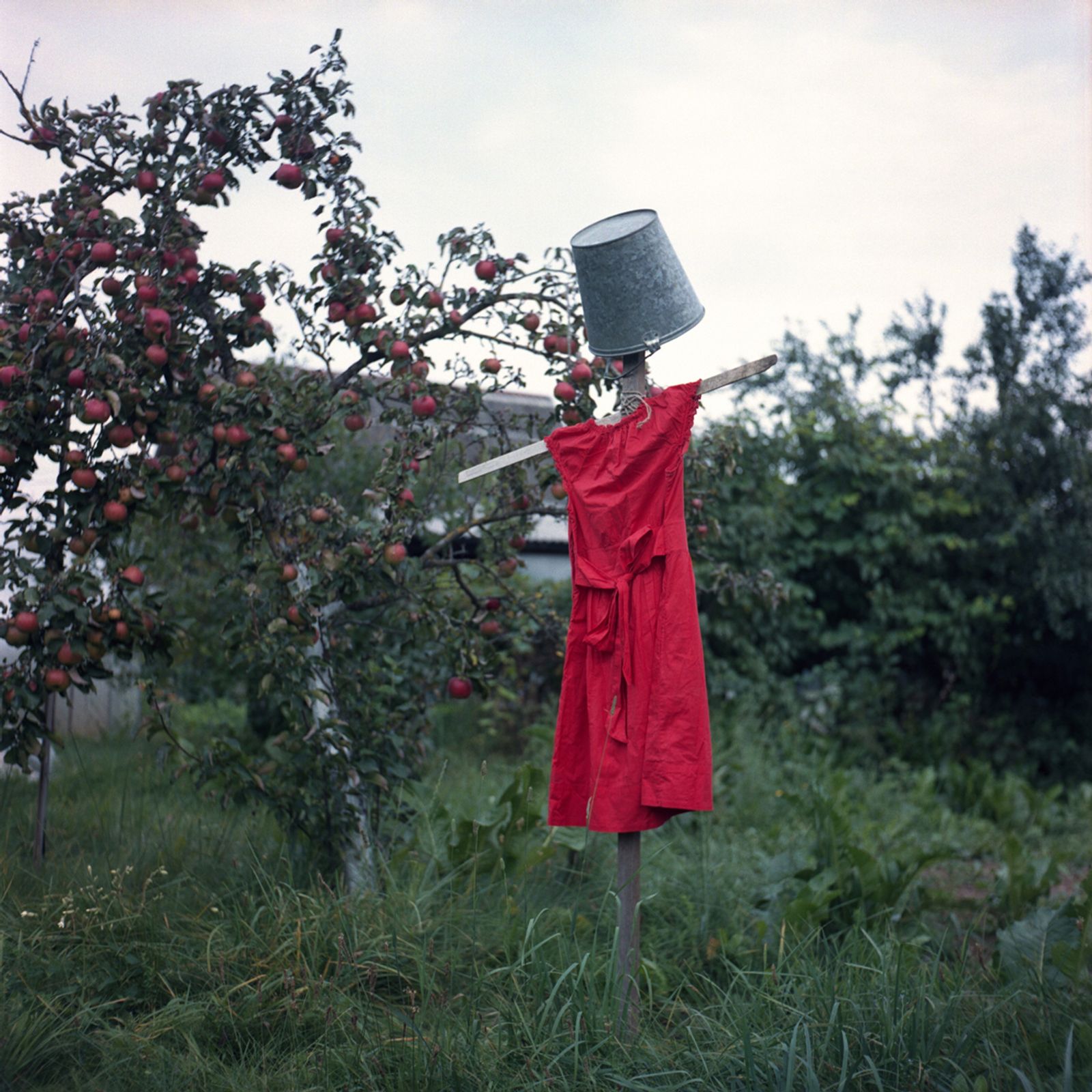 © Alena Kakhanovich - Leave all fears in the garden, Minsk, 2018