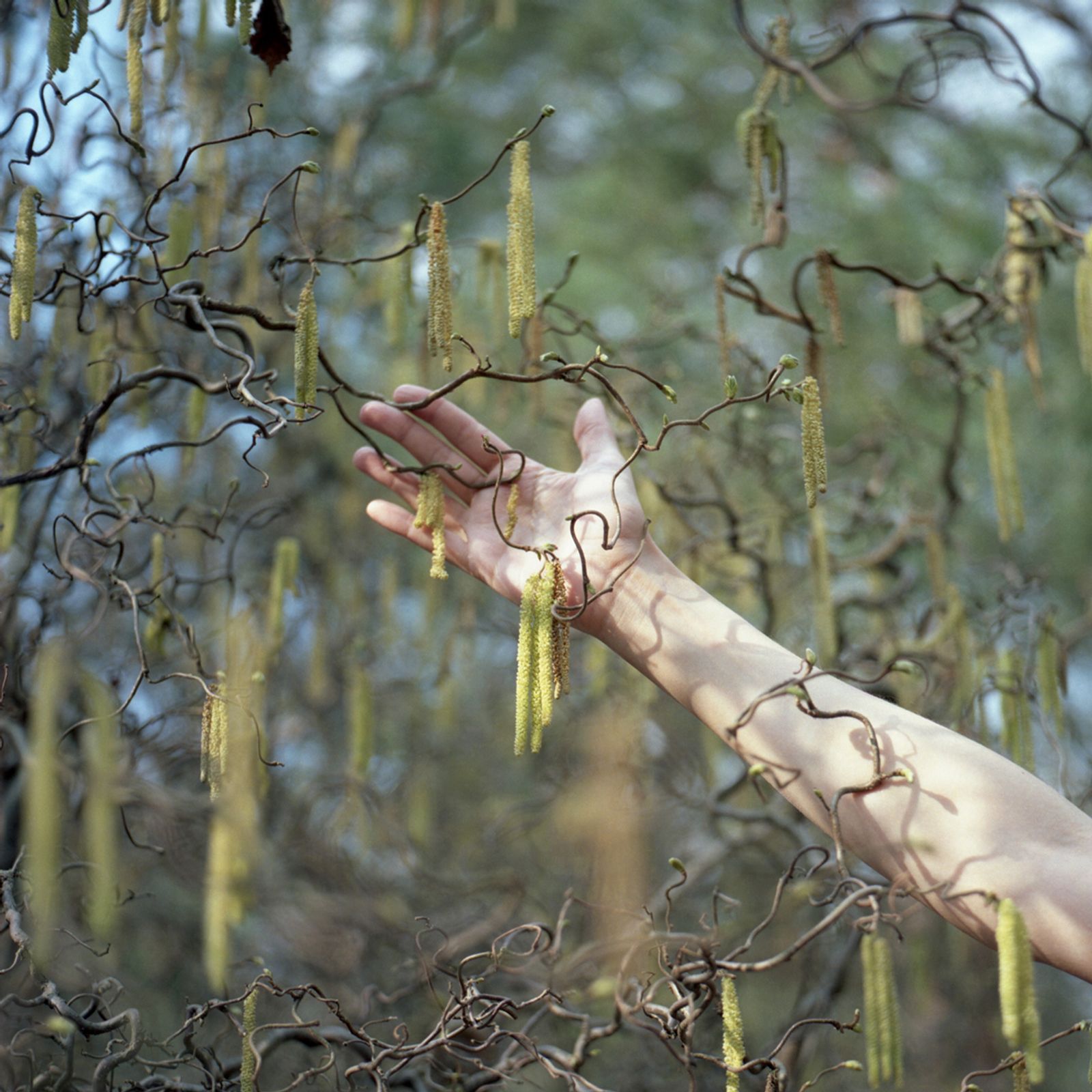 © Alena Kakhanovich - Veins, Warsaw, 2019