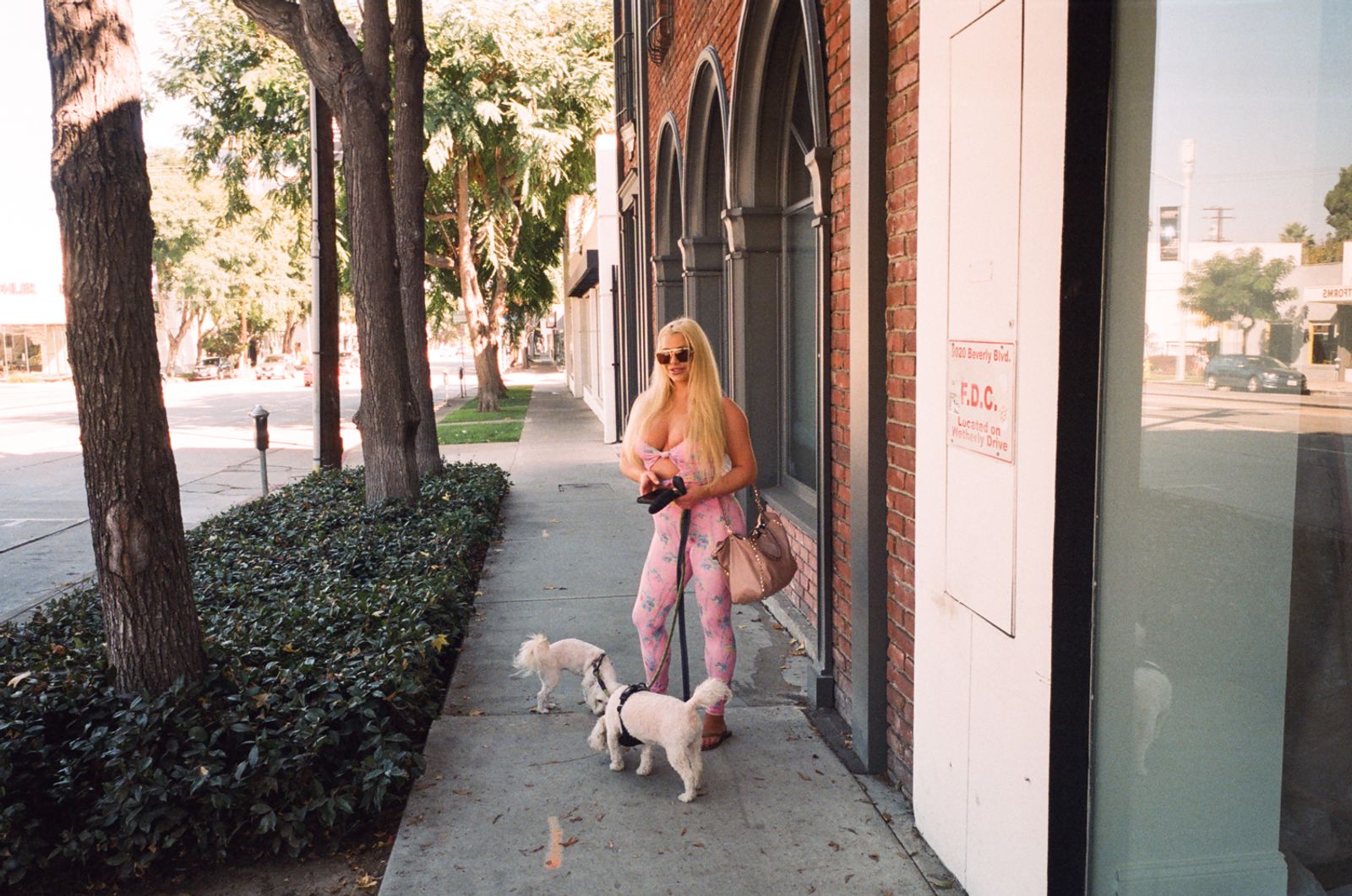 © Elizabeth Waterman - Adult star Spencer Scott lives in Beverly Hills and has two dogs.