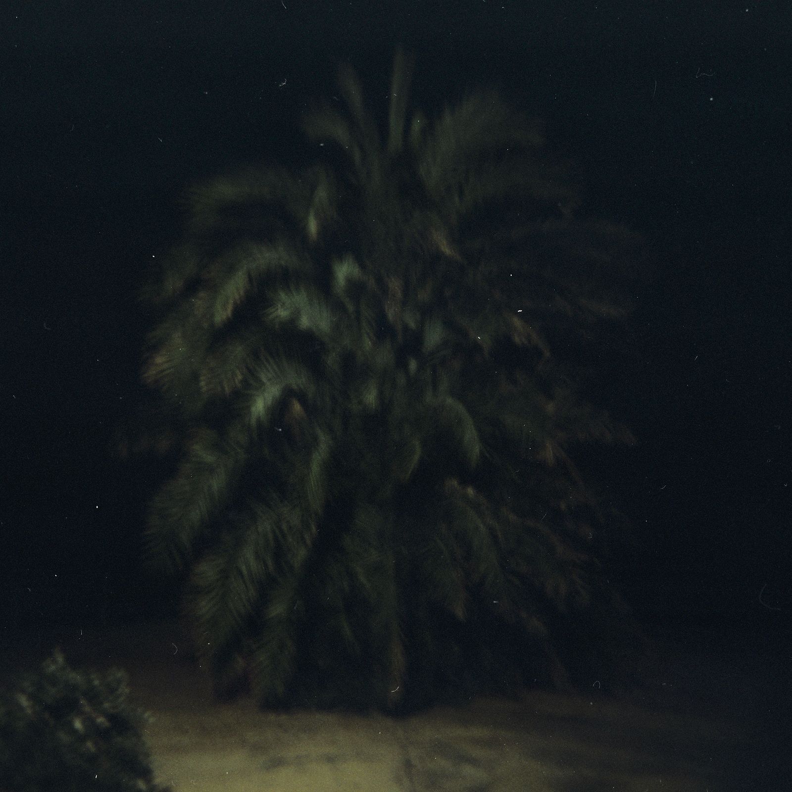 © Enrico Doria - holga 120
