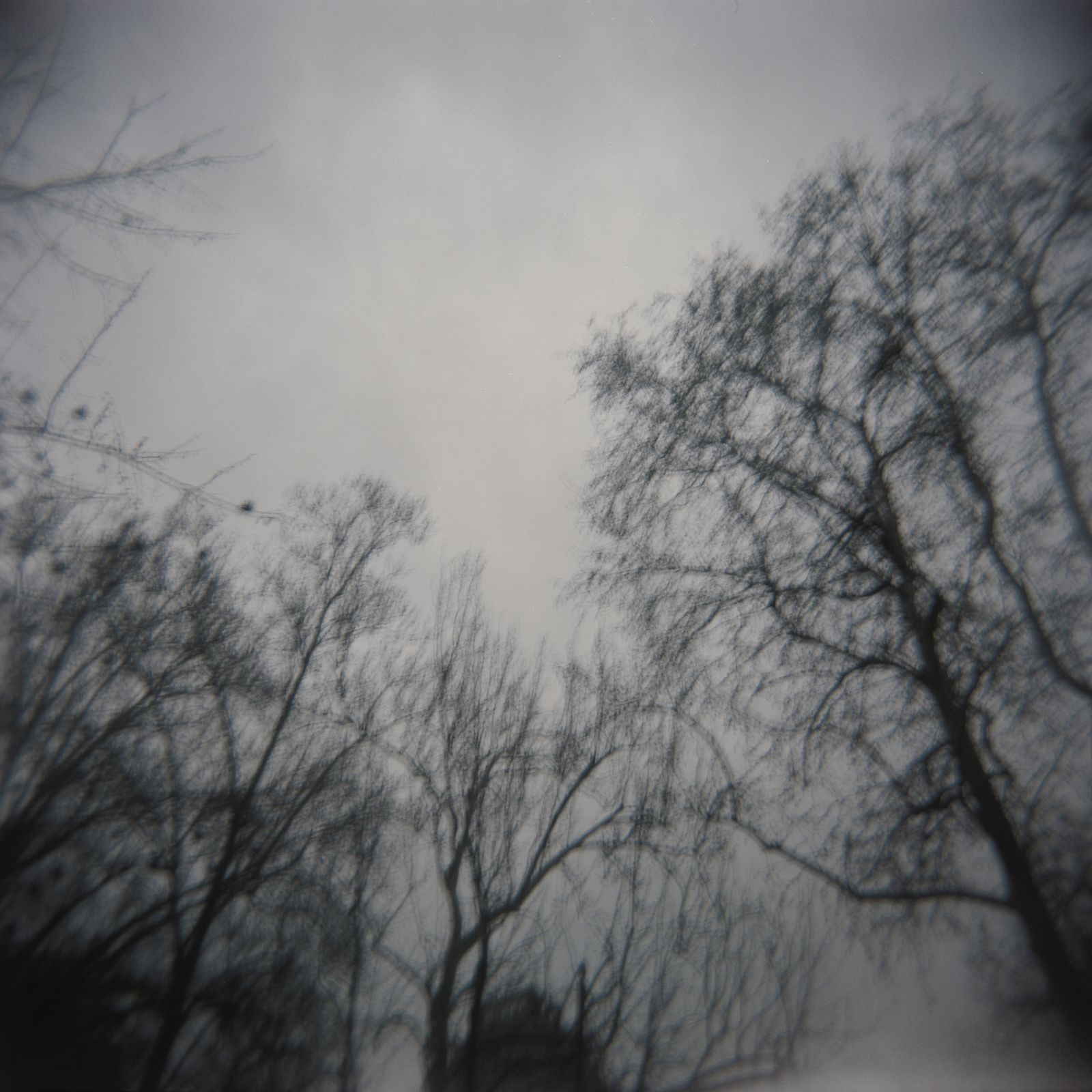 © Enrico Doria - holga 120