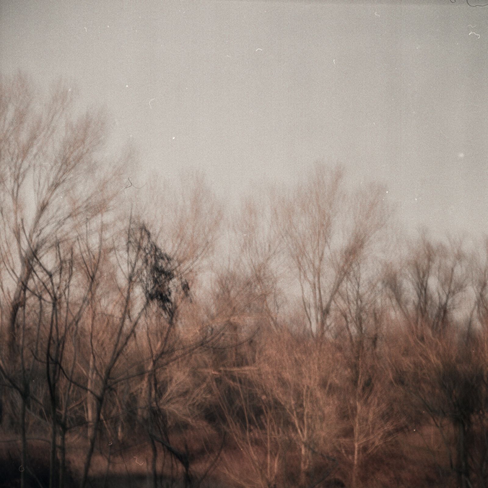 © Enrico Doria - holga 120