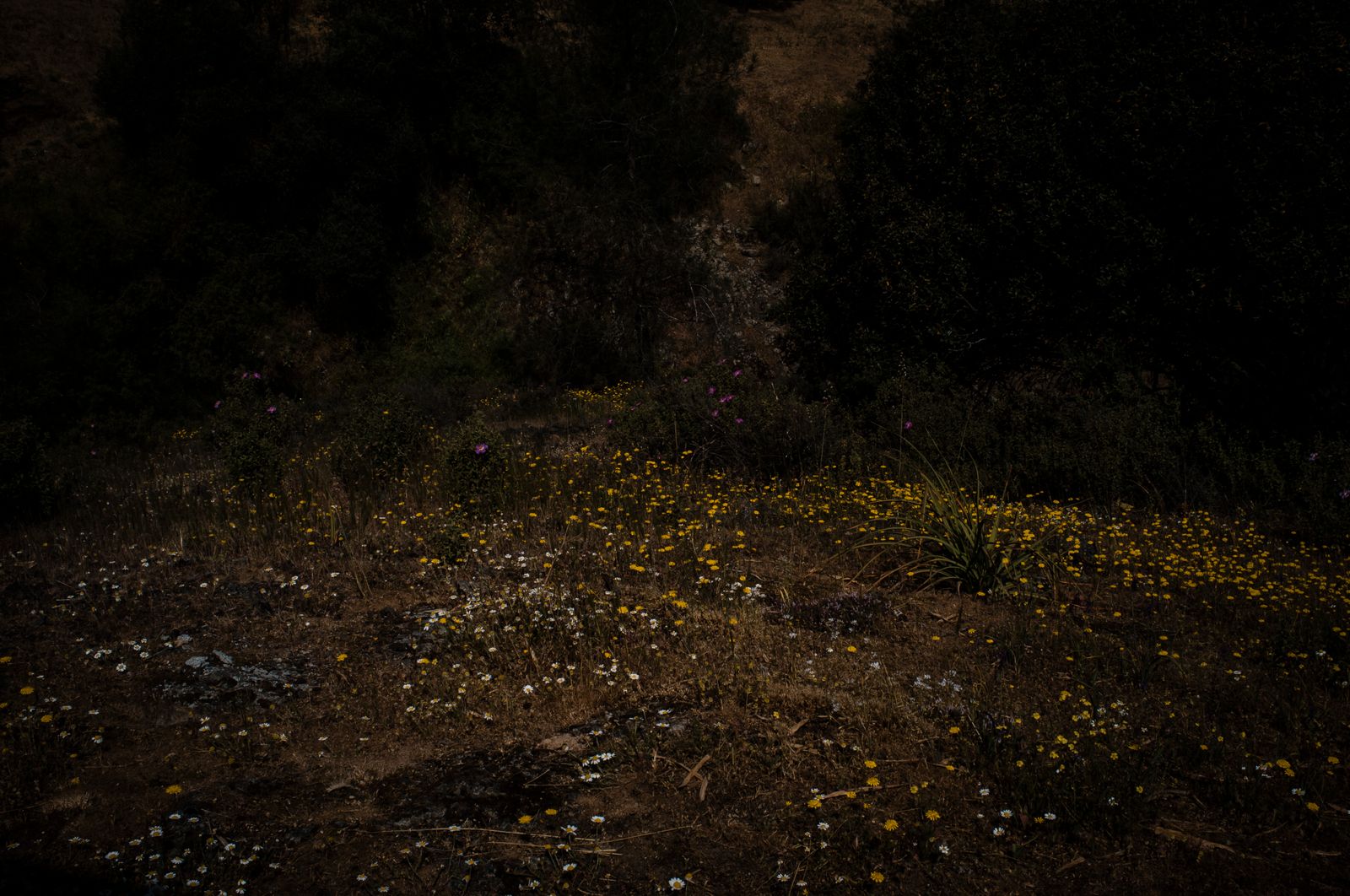 © Alinne Rezende - Image from the The last letter: what remains behind photography project