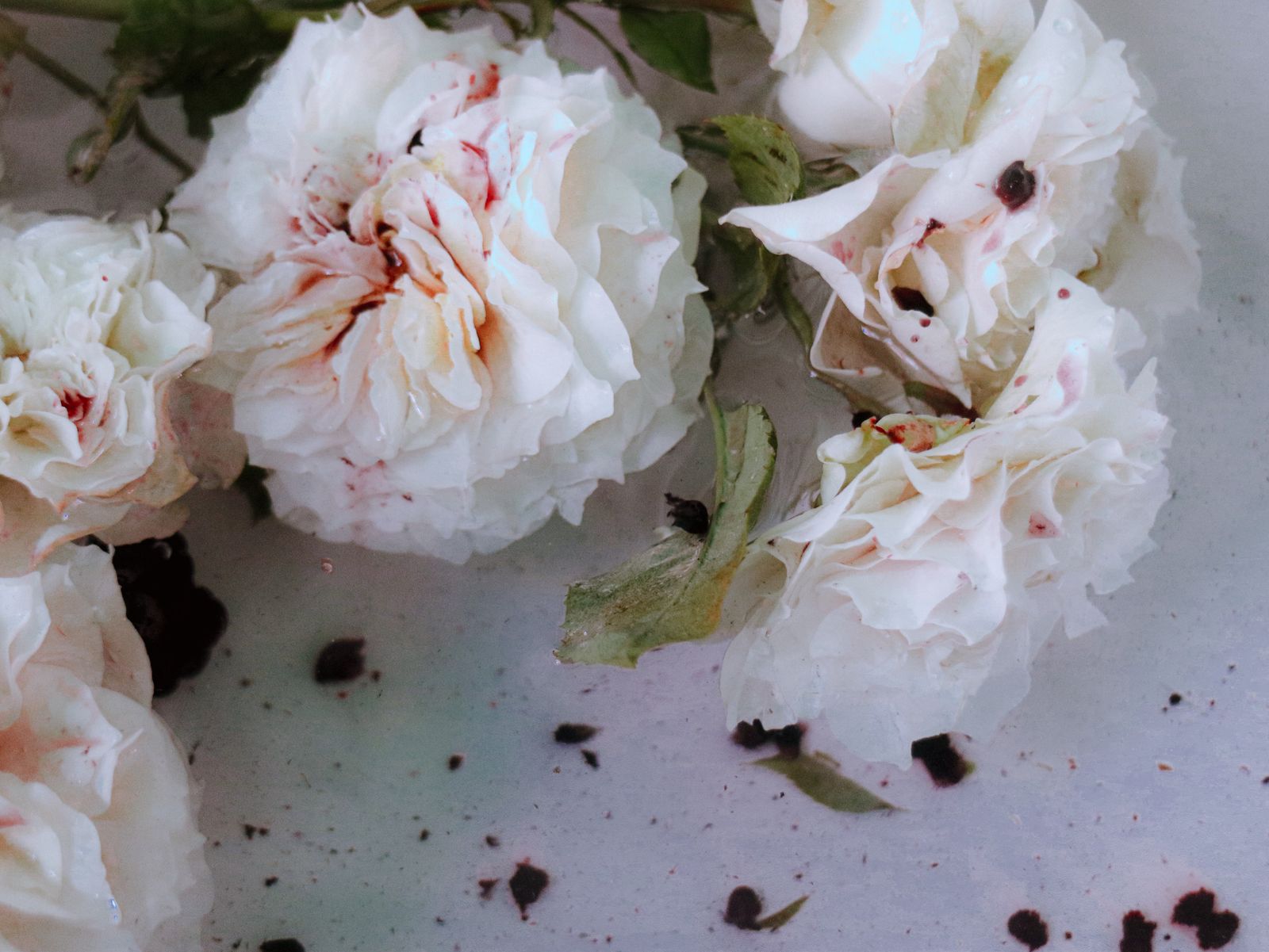 © Wenrui Wu - Image from the tender photography project