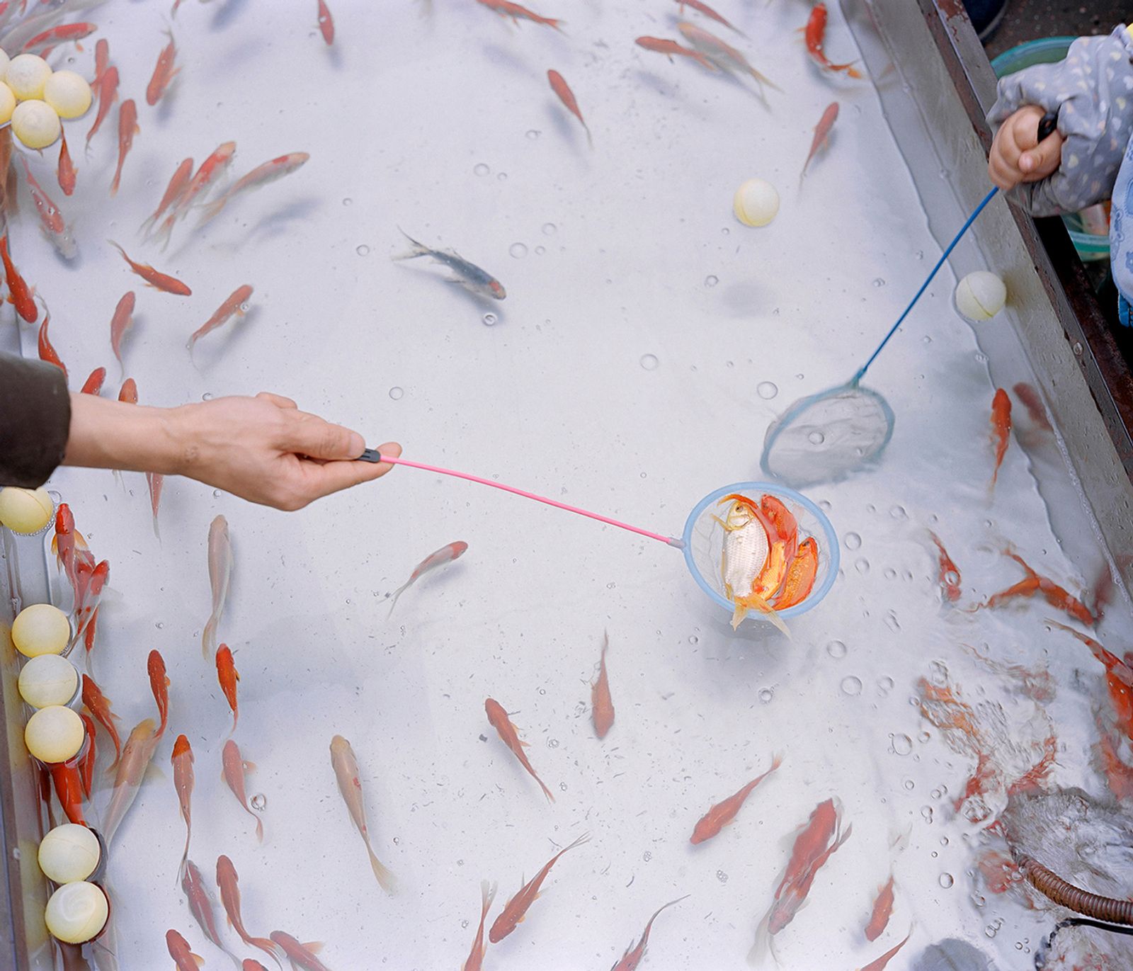© Ke Peng - Image from the PRIMAL PLANET photography project