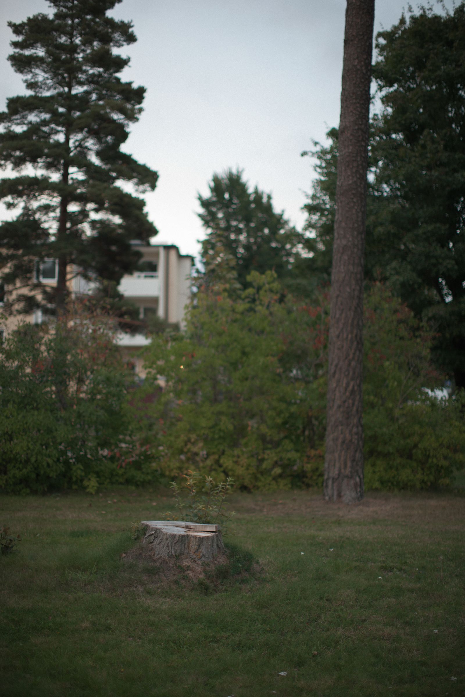 © Pratya Jankong - Image from the ''Swedish Family'' photography project