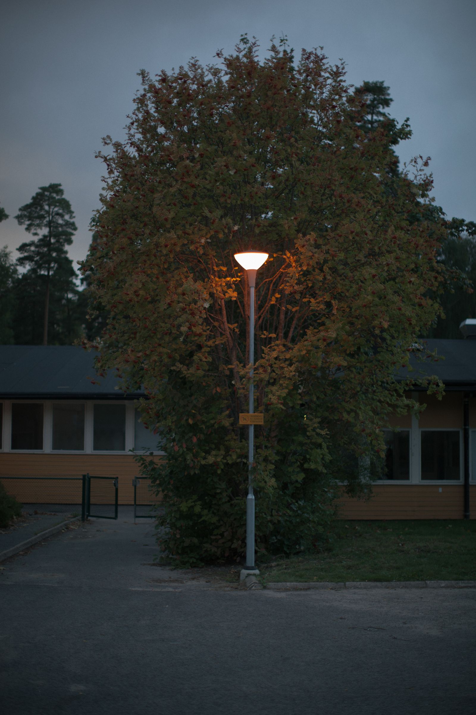 © Pratya Jankong - Image from the ''Swedish Family'' photography project