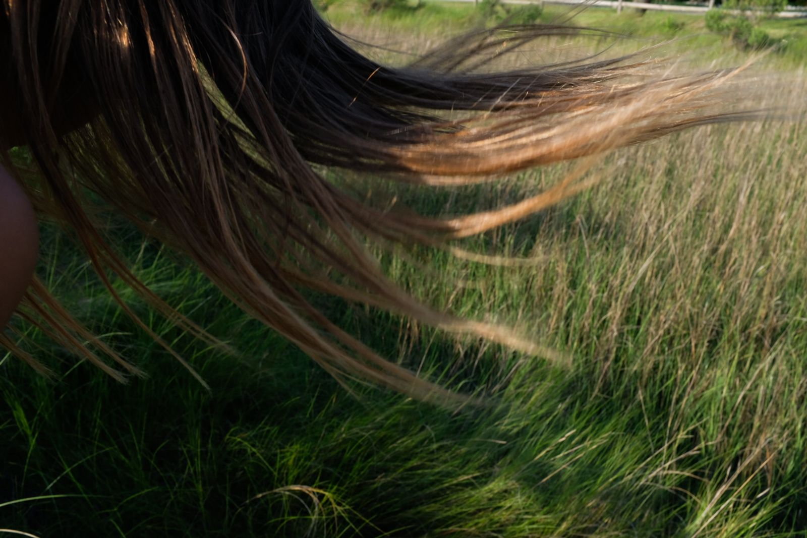 © Angela Ramsey - Rose's hair blows in the wind.