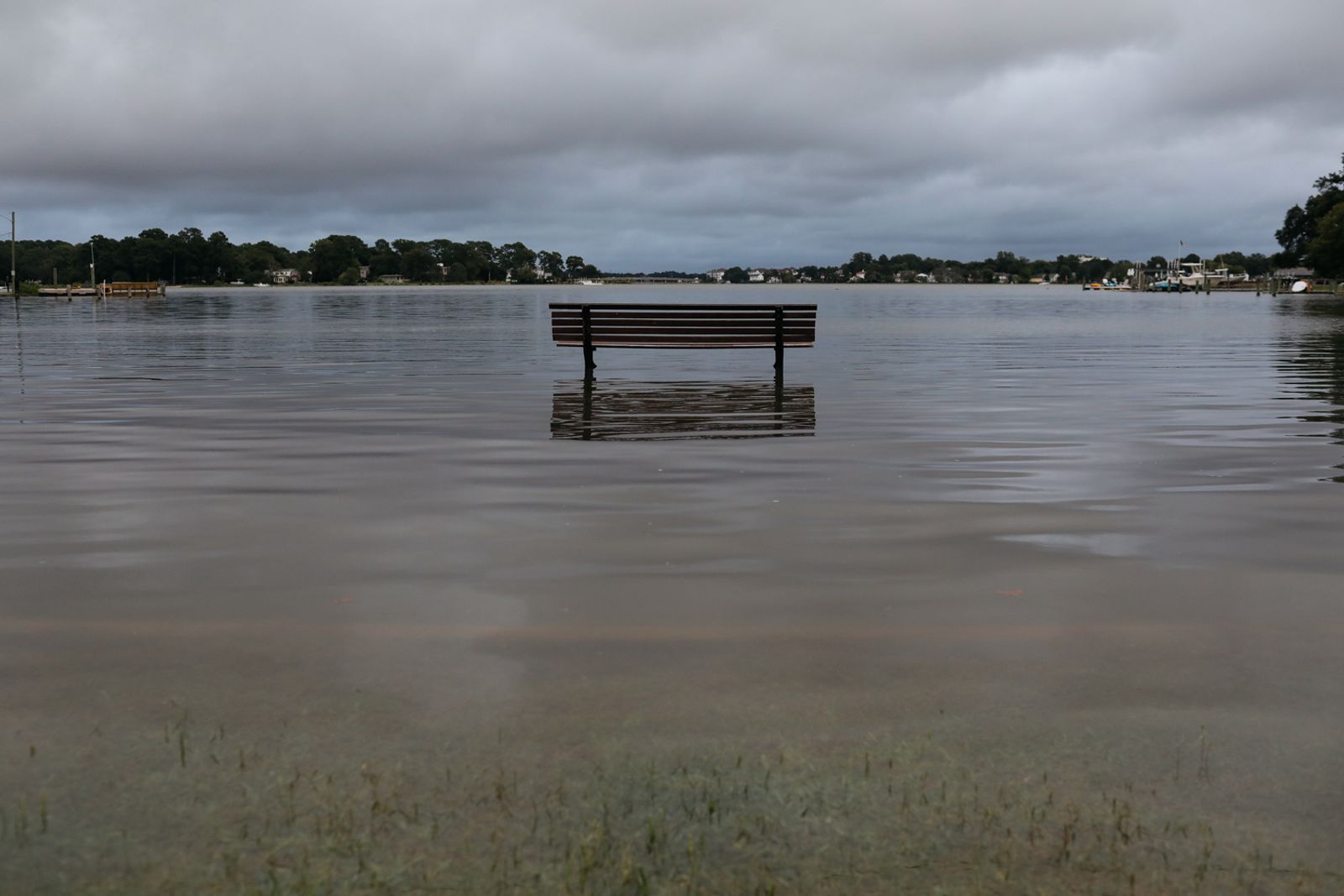© Angela Ramsey - A park bench sits alone in the water.