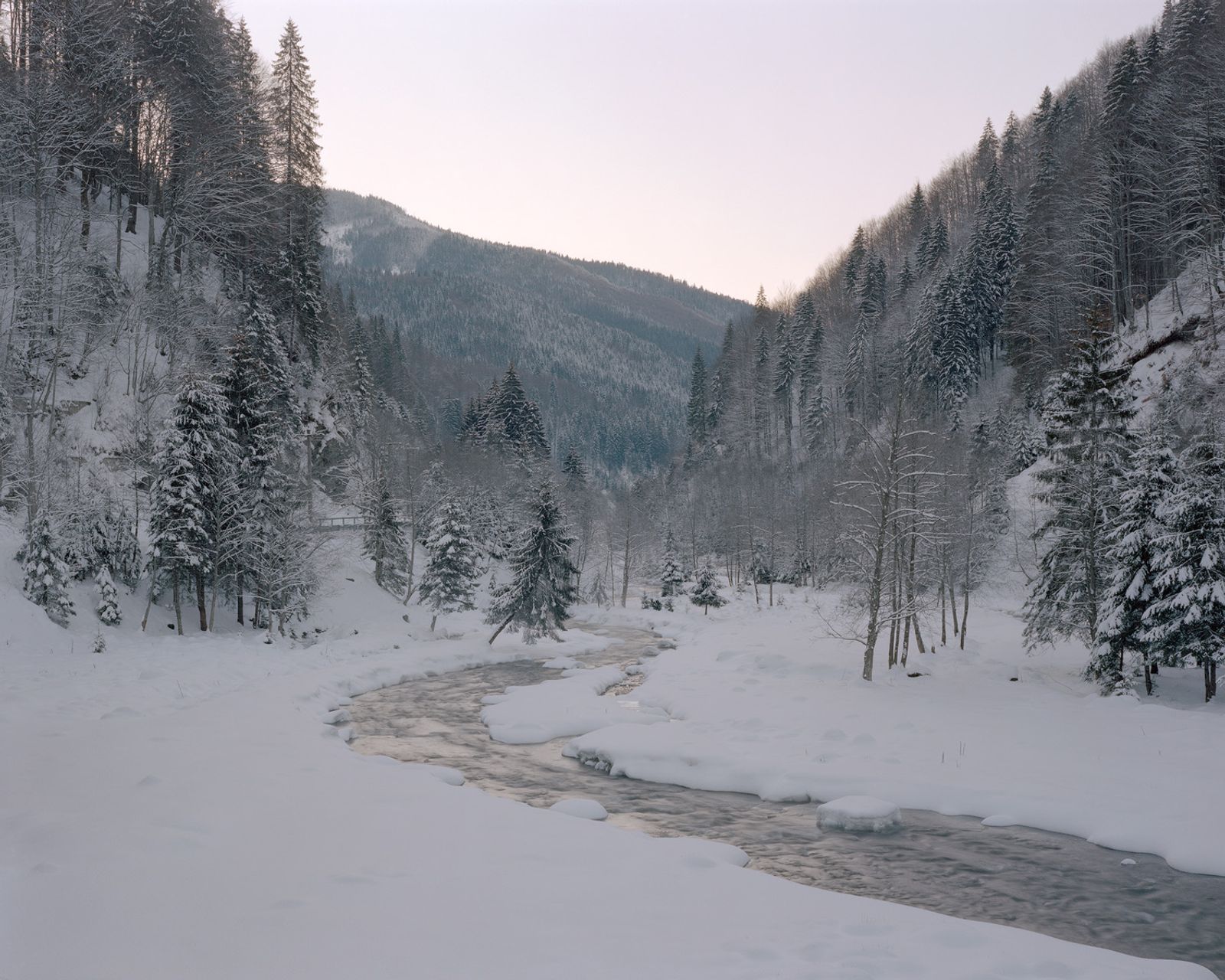 © Nicholas J.R. White - Targului River, proposed location for Beaver reintroduction programme, Raul Targului Hunting Area [January, 2018]