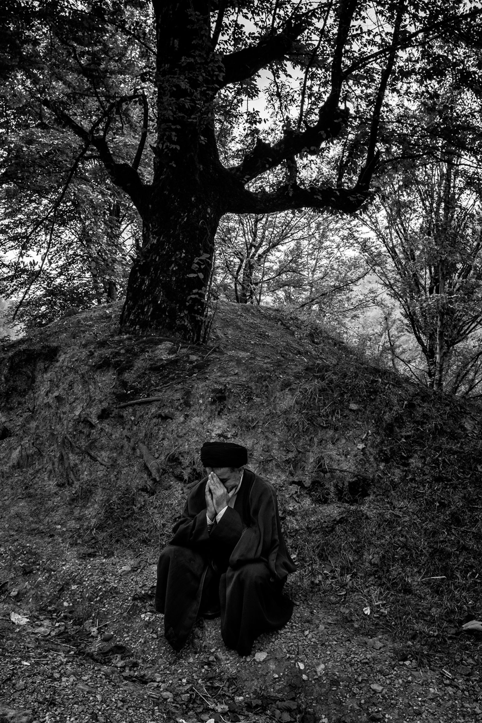 © Farshid Tighehsaz - holy depression. Mazandaran, Iran.