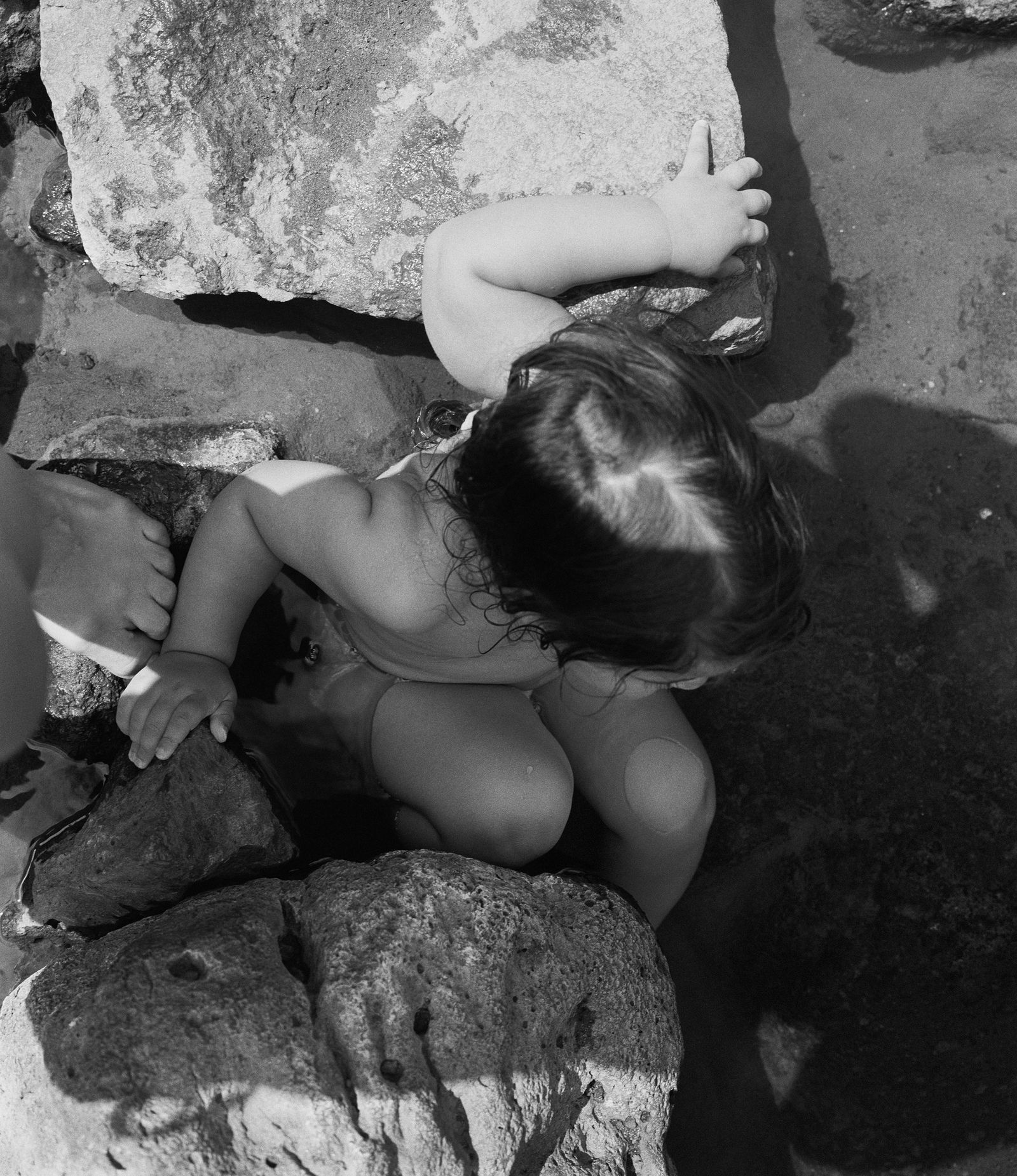 © Rose Marie Cromwell - In the spring