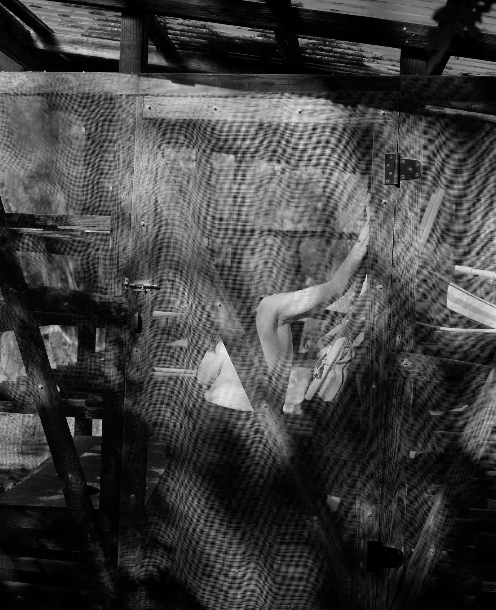 © Rose Marie Cromwell - Garden shed