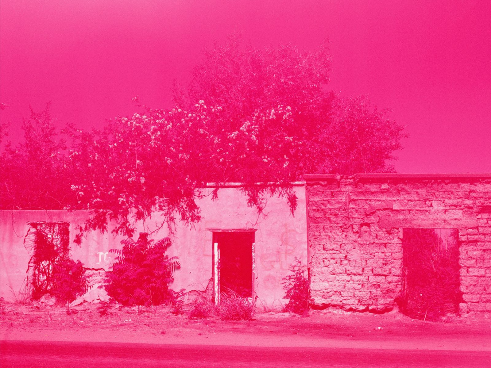 © Alejandra Aragon - 15. The longing persists as the myth of the original towns, of the family that could have been, of the own piece of land.