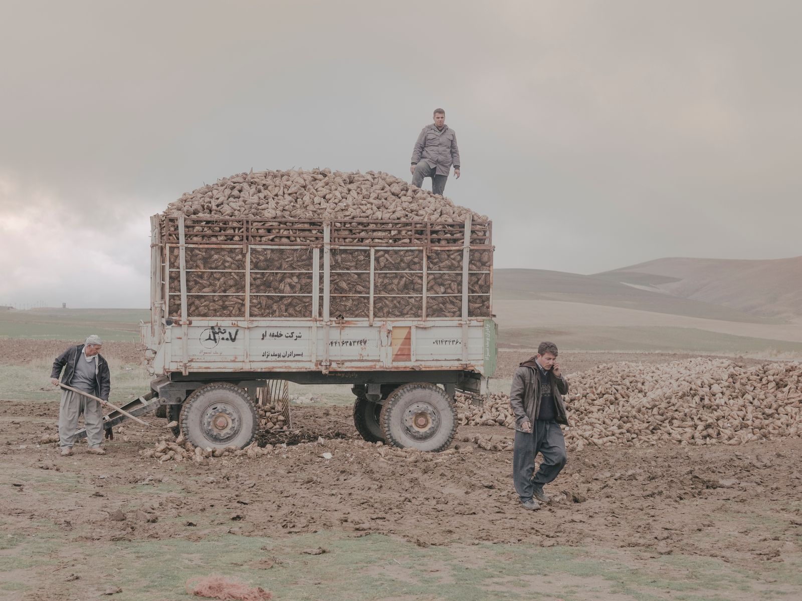 © Maximilian Mann - Image from the Fading Flamingos photography project