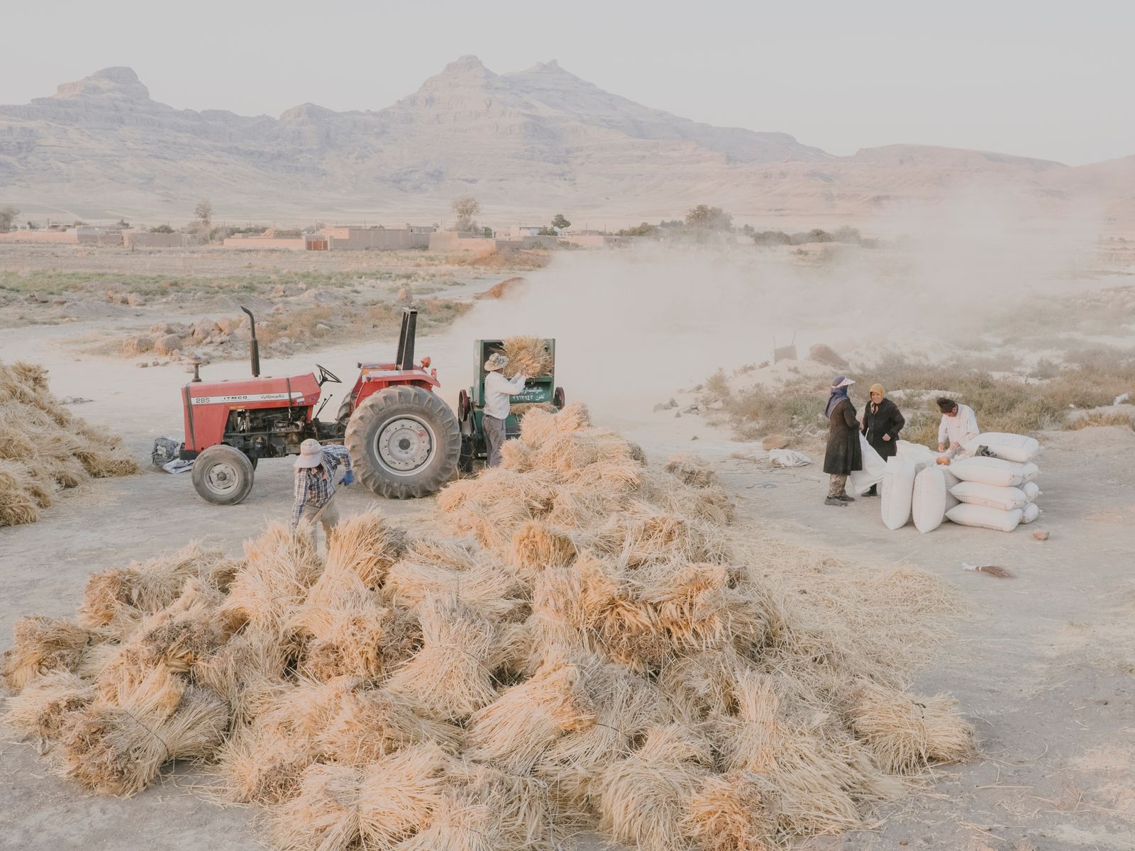 © Maximilian Mann - Image from the Fading Flamingos photography project