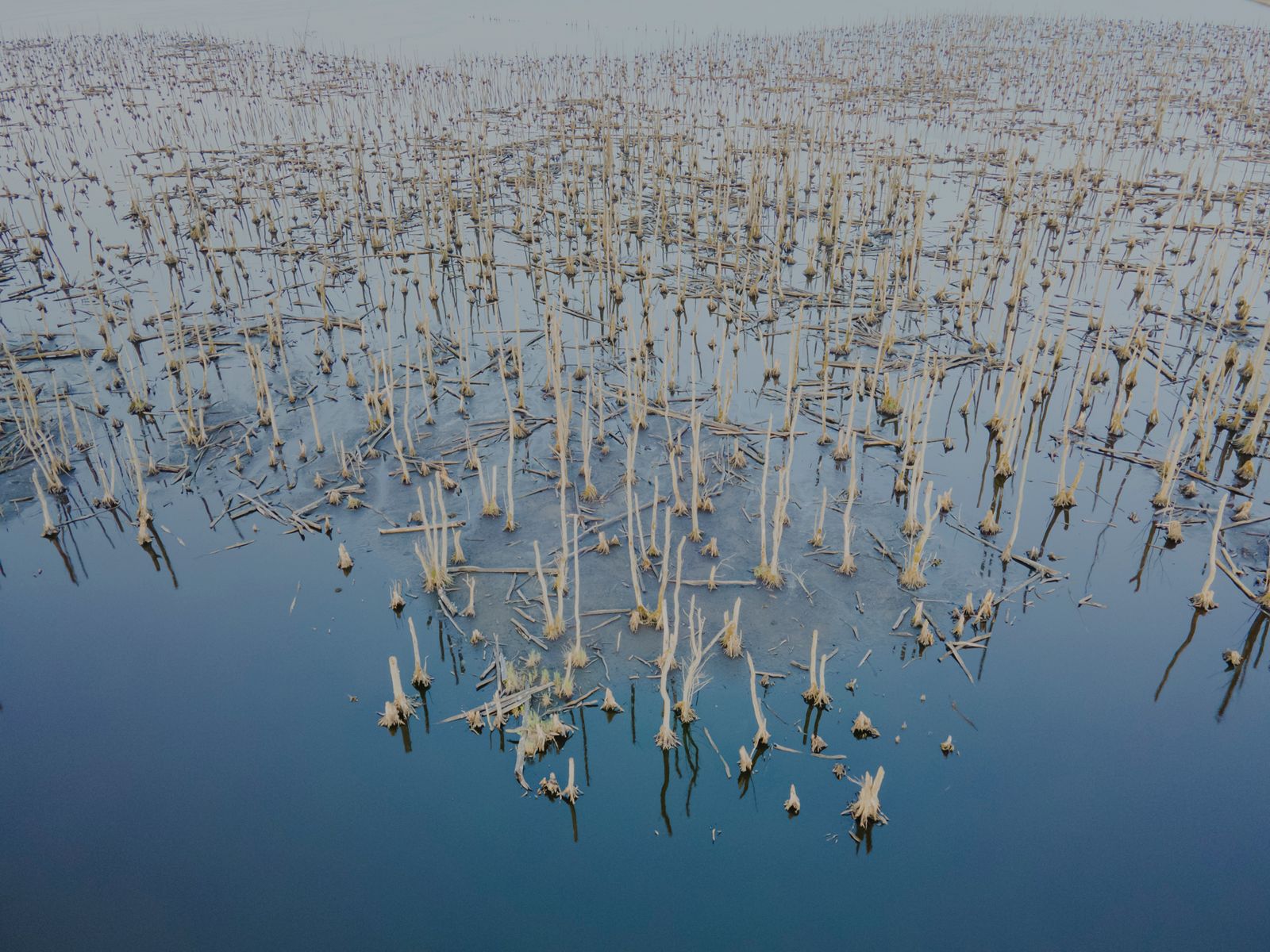 © Maximilian Mann - Image from the Between hope and dystopia photography project