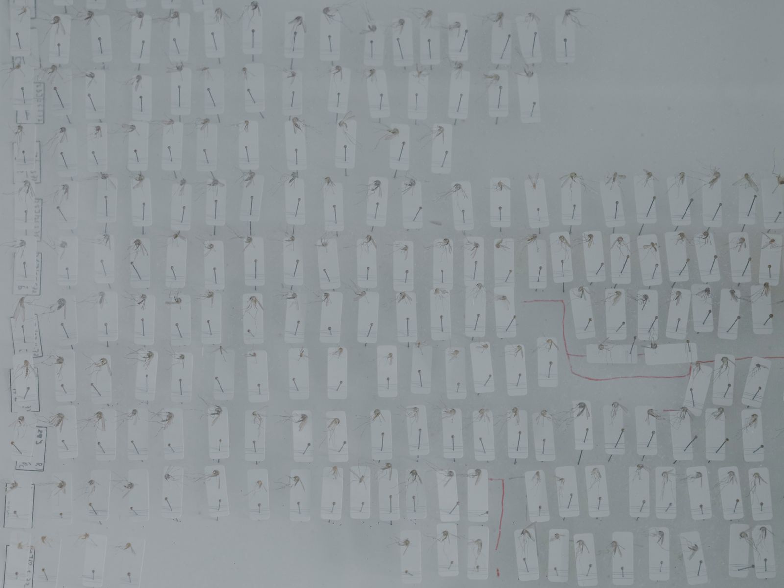 © Maximilian Mann - Image from the Between hope and dystopia photography project