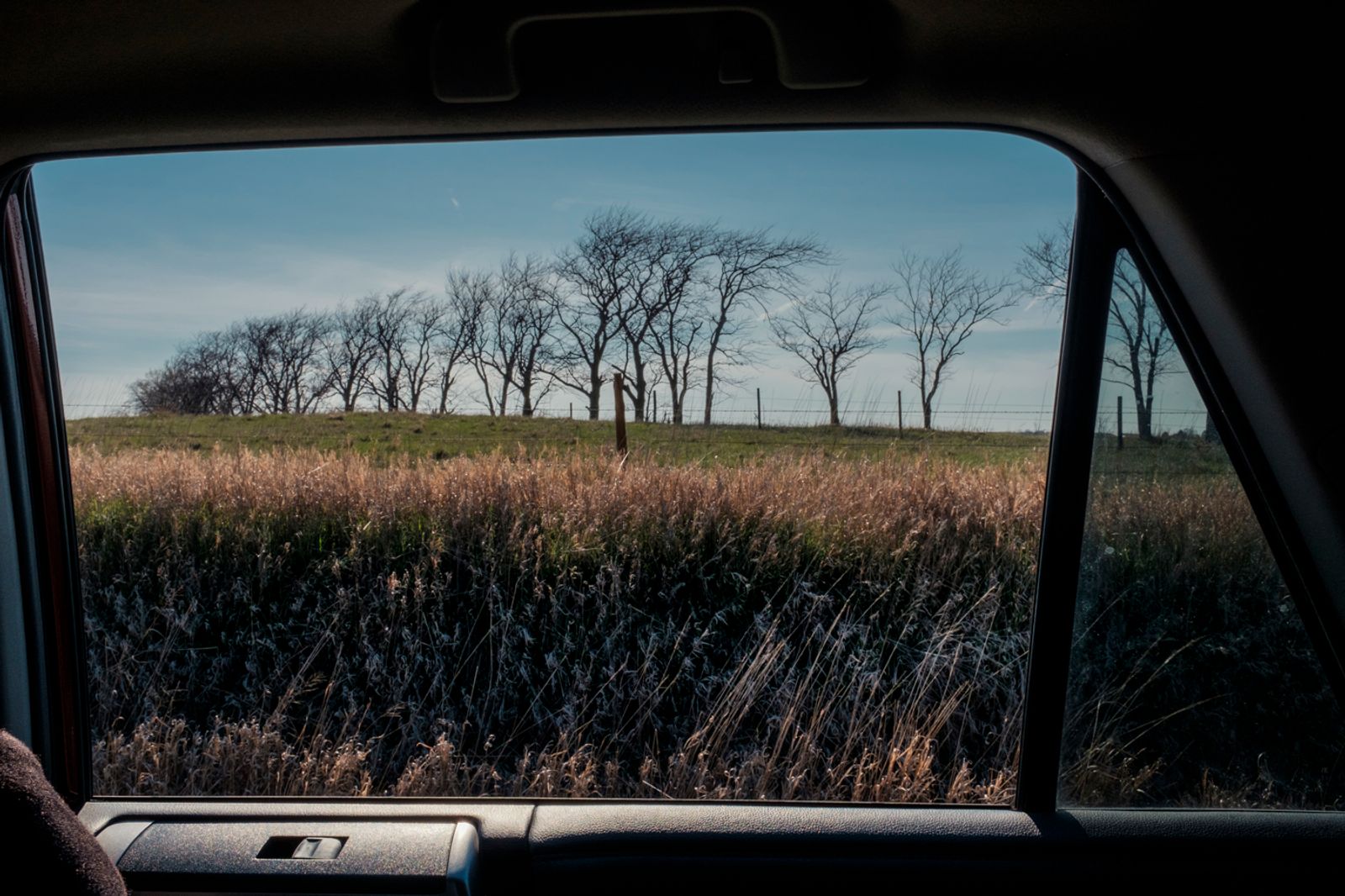 © George Nobechi - Trees on the Great Plains, Nebraska
