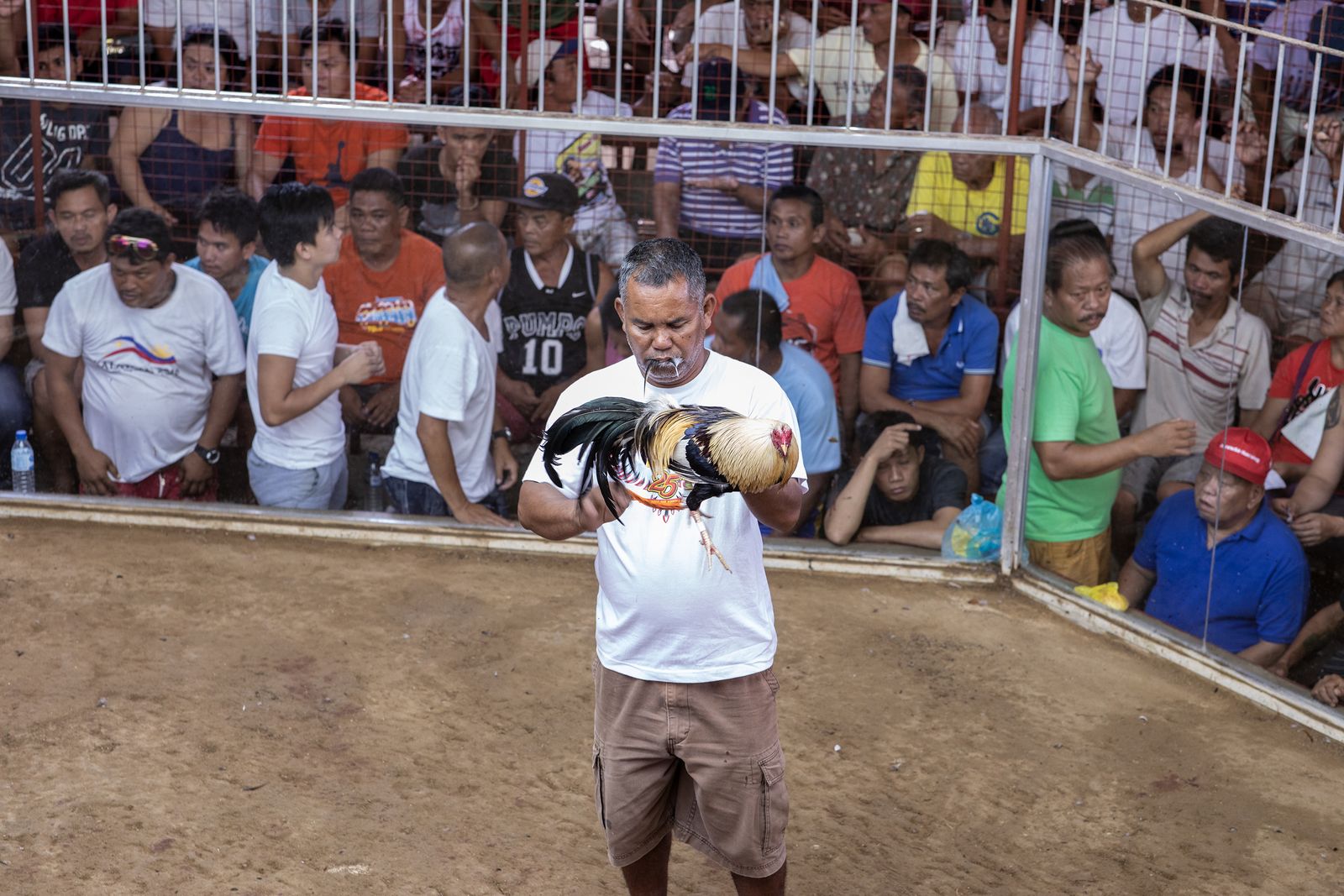 © Mehdi Maciej Benembarek - Image from the Cockfights in Philippines photography project