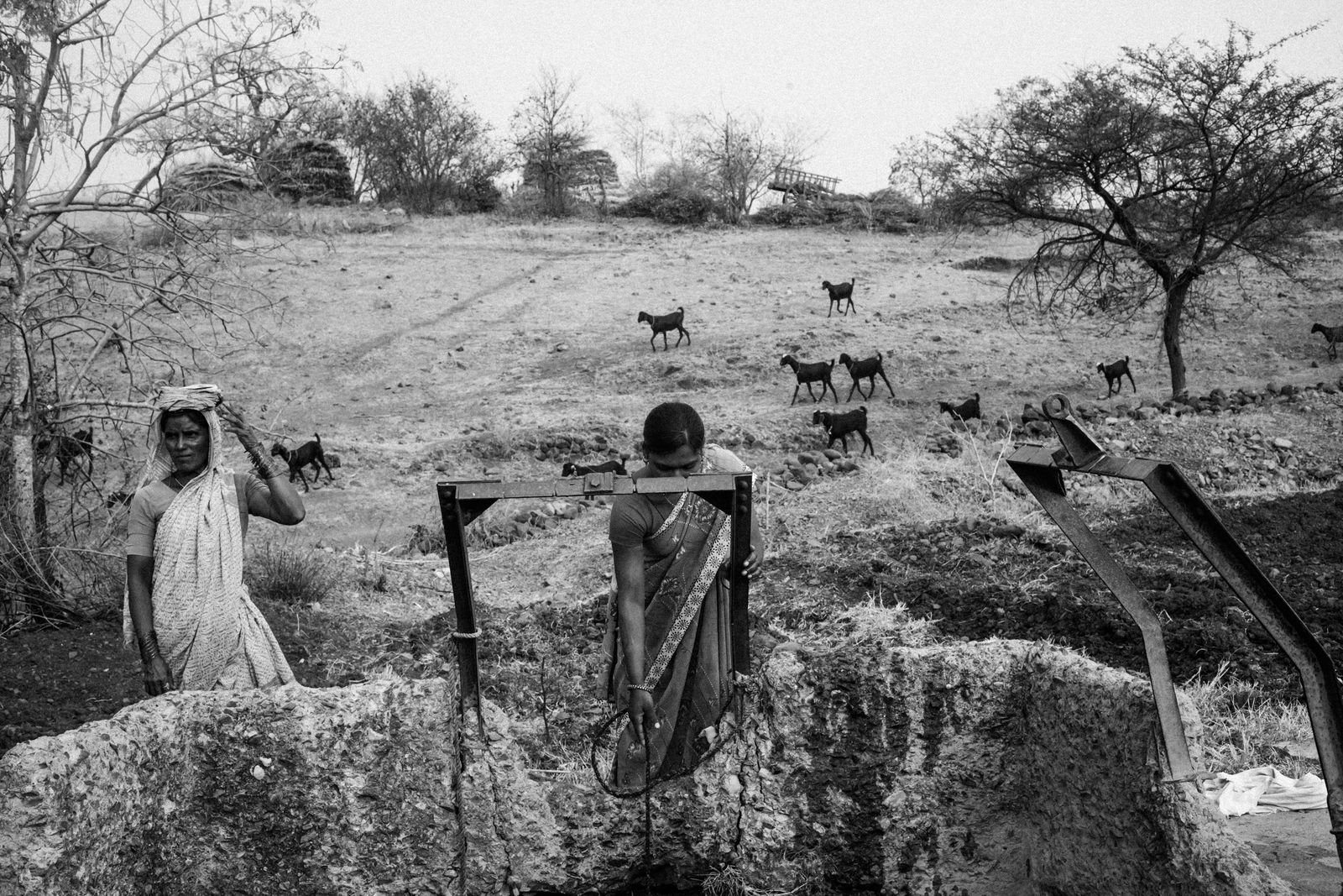 © Harsha Vadlamani - Image from the Dushkaal: Drought and Agrarian Crisis in Marathwada, India. photography project
