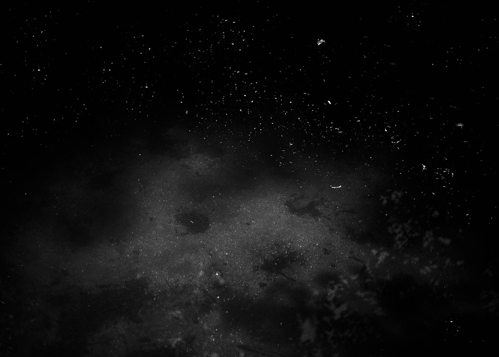 © Joana Dionísio - Image from the A world that speaks in your ear photography project