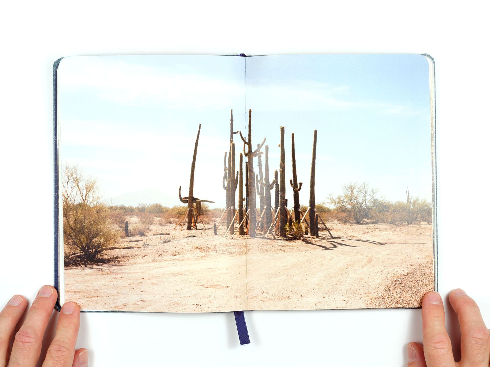 Image from a project on PhMuseum
