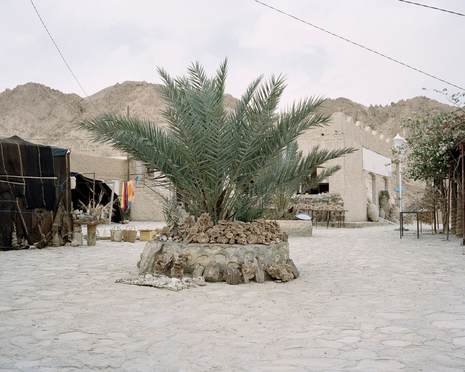 © Miriam Stanke - Desert roses for sale, Nefta