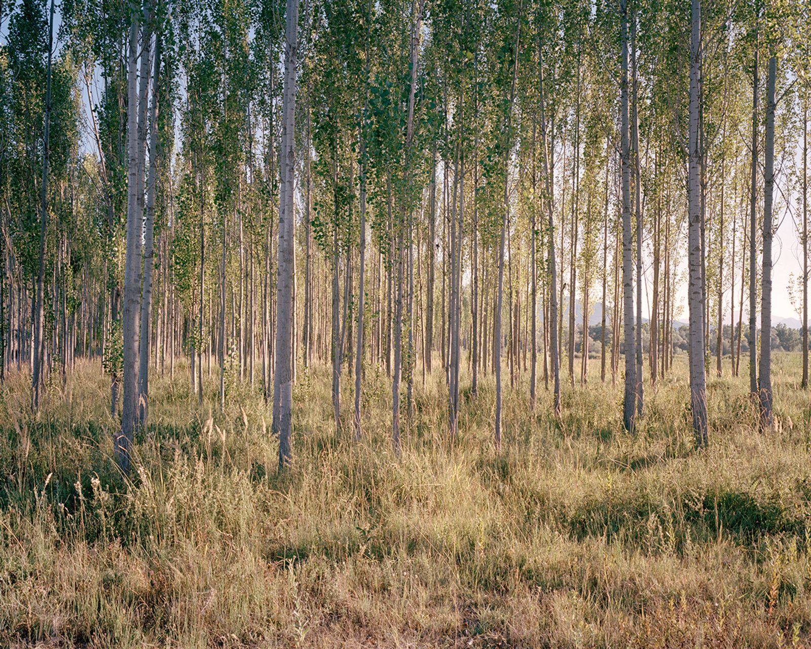 © Miriam Stanke - Munzur valley