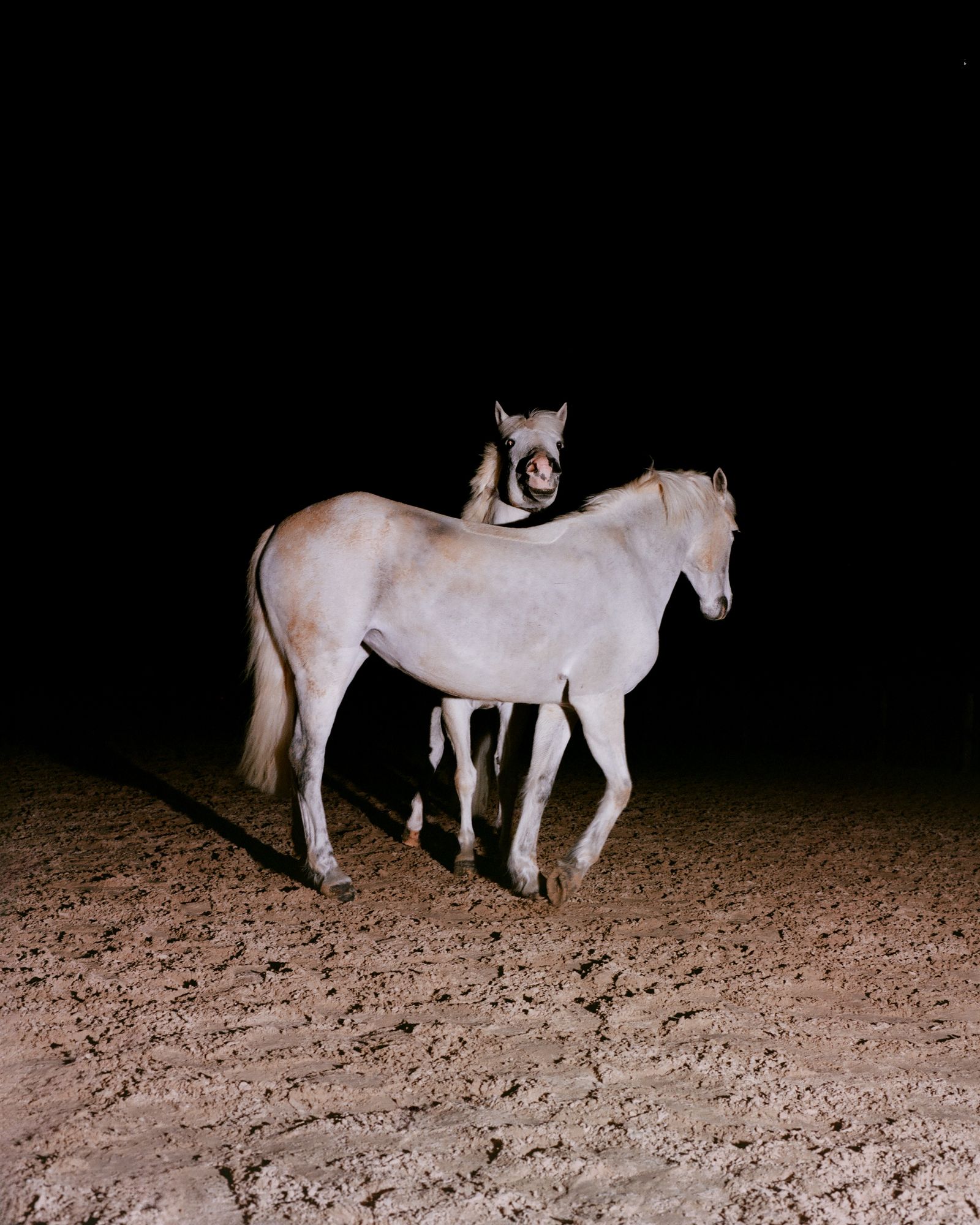 © Henri Kisielewski - Control, (2024). Kodak medium format colour negative film (6x7).