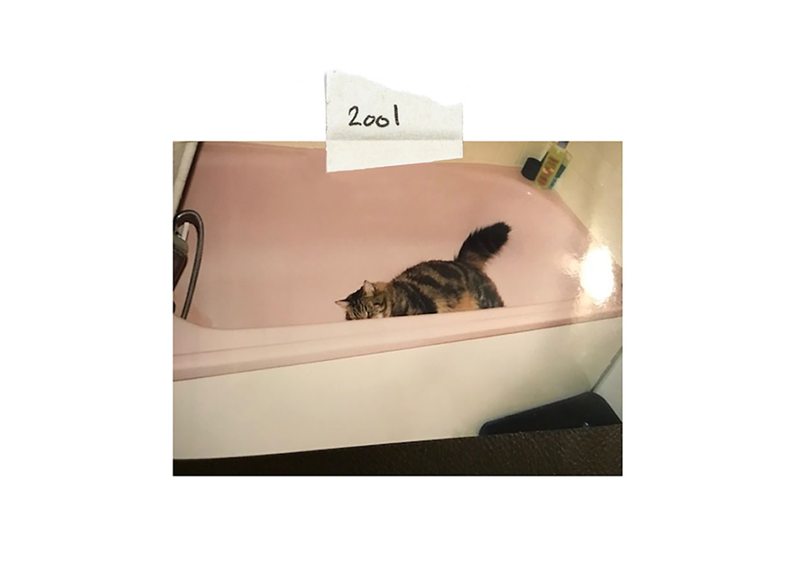 © Henri Kisielewski - Archival photo, (2001).