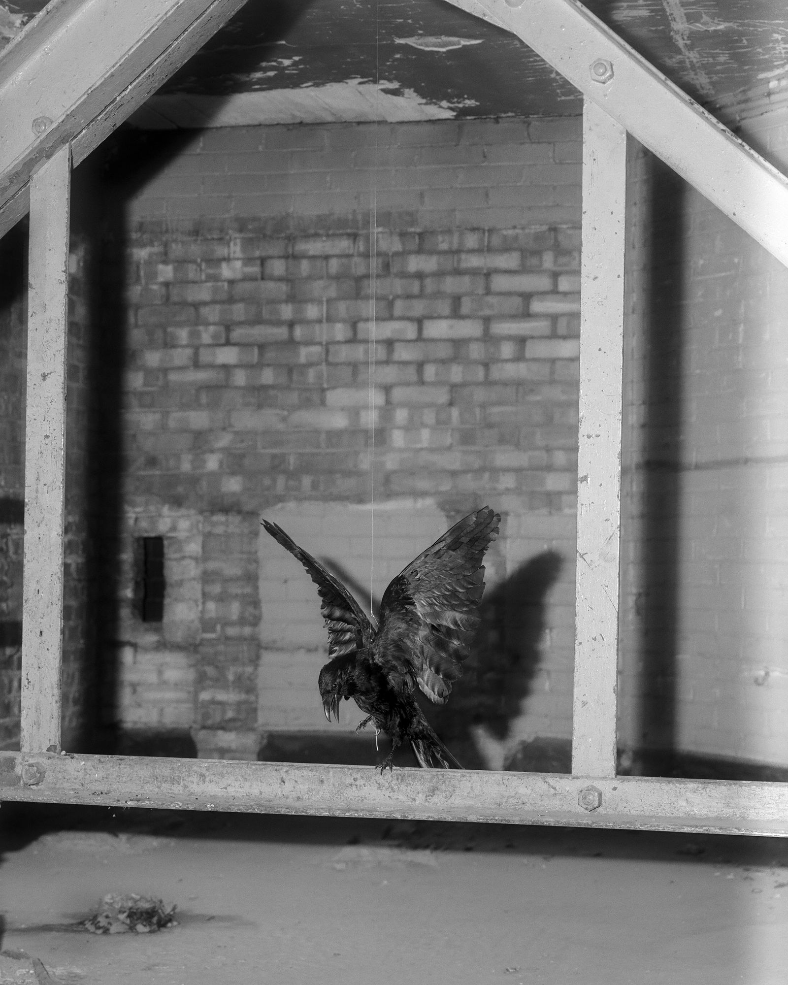 © Henri Kisielewski - Memory #35, (2021). London. Kodak colour negative film, 6x7.