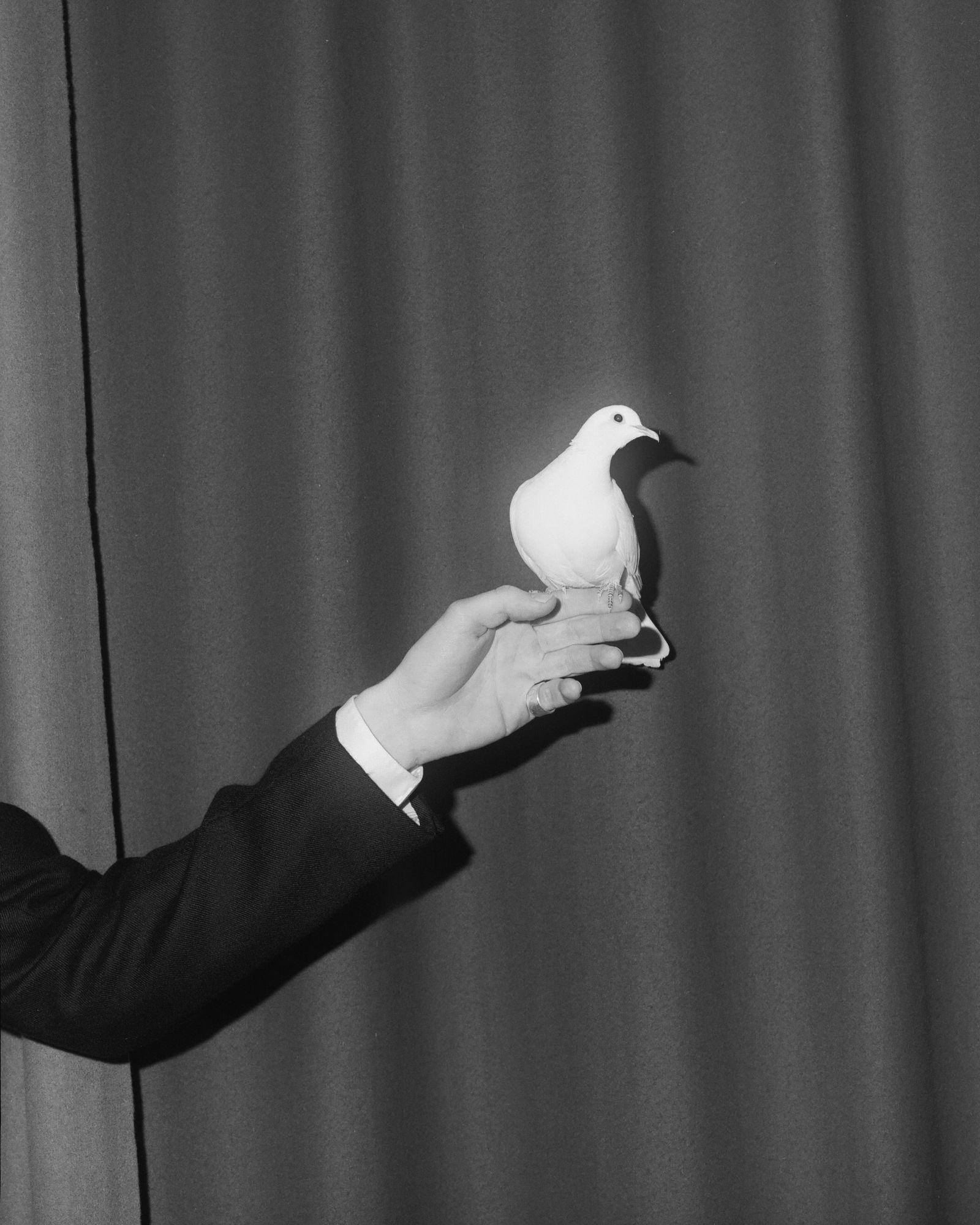 © Henri Kisielewski - Magic, (2022). Ilford medium format negative film (6x7).