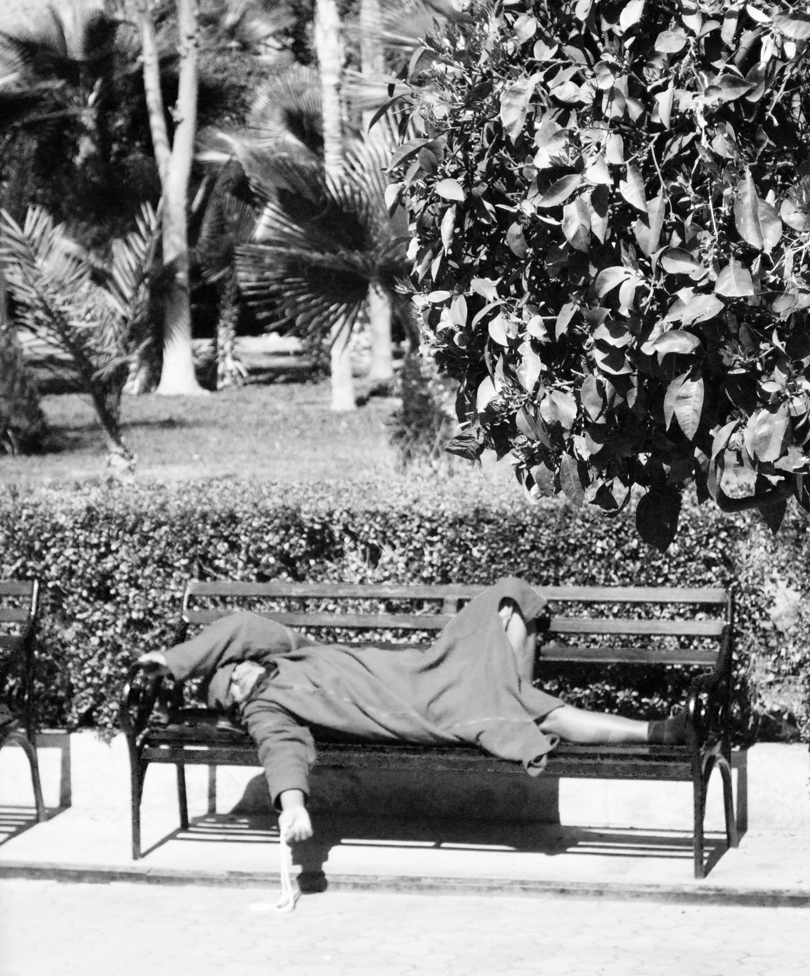 © Abigail Wells-Davies - Man sleeping on bench