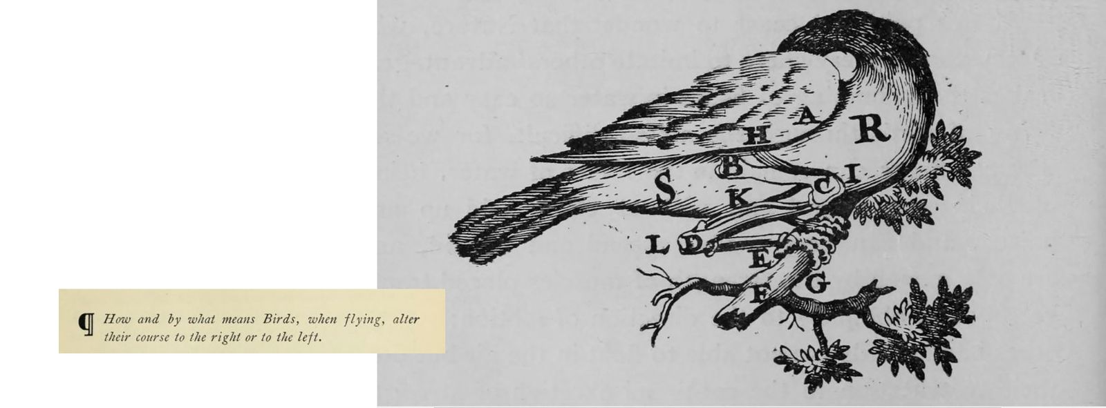 Incorrect Theory - PhMuseum