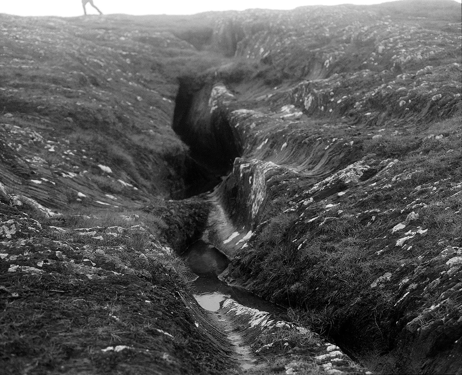 © Marysa Dowling - Landscape in Kerry, walking the land.