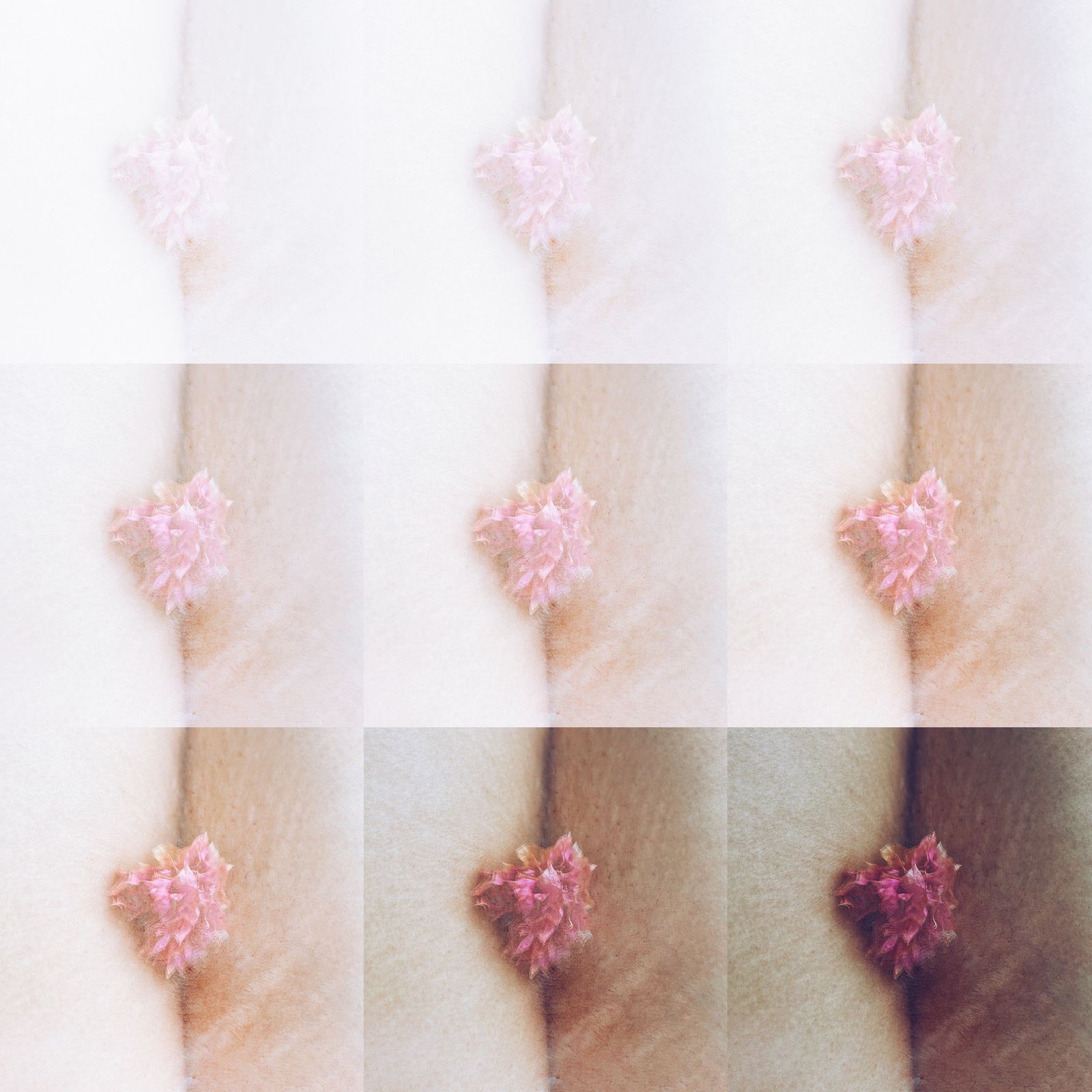 © Ashima Raizada - all shades are important