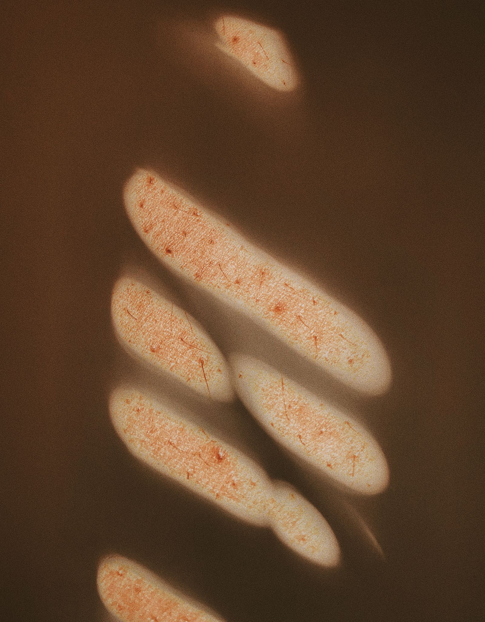 © Ashima Raizada - Skin finding its way through
