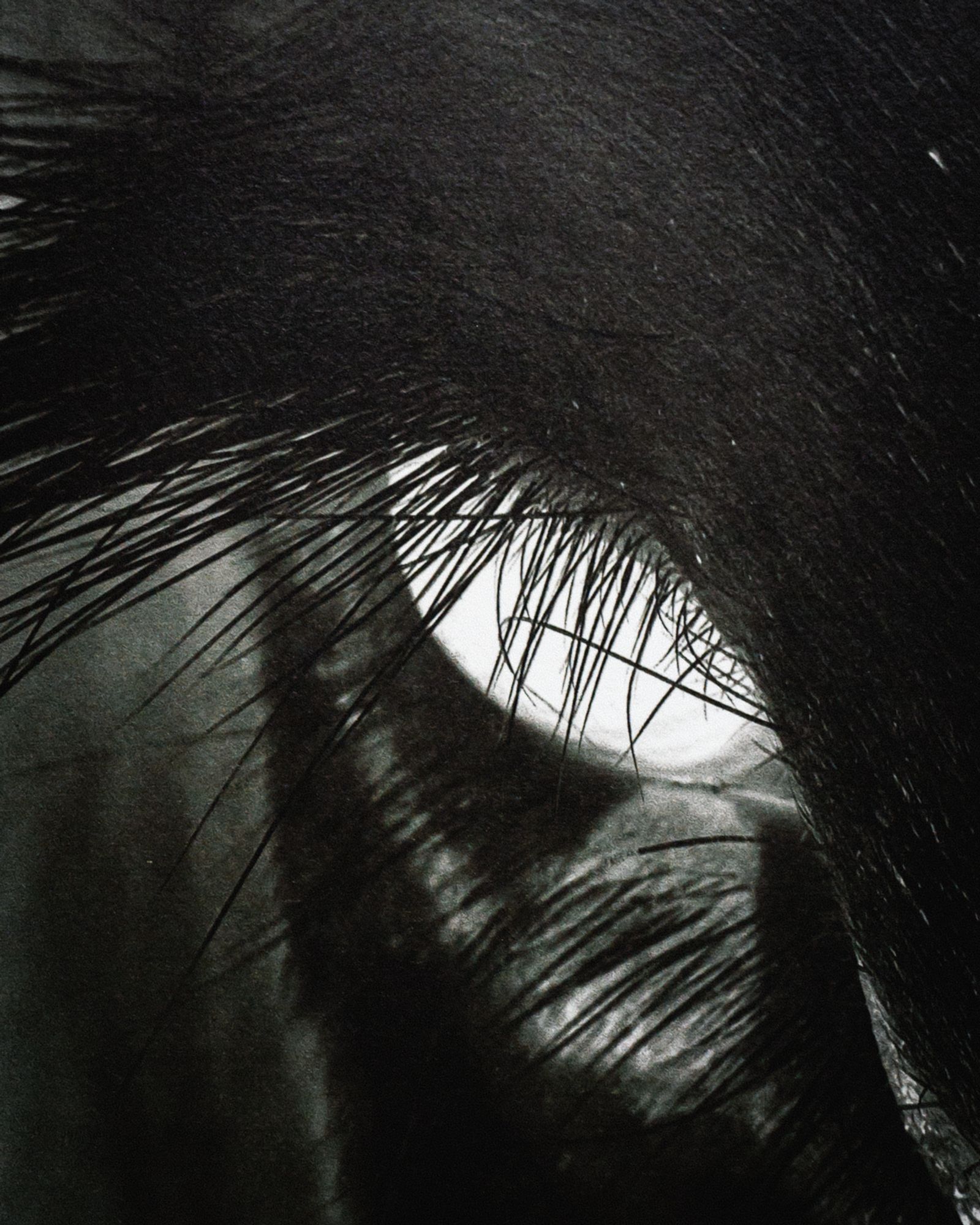 © Uta Genilke - Image from the RAUHNACHT photography project